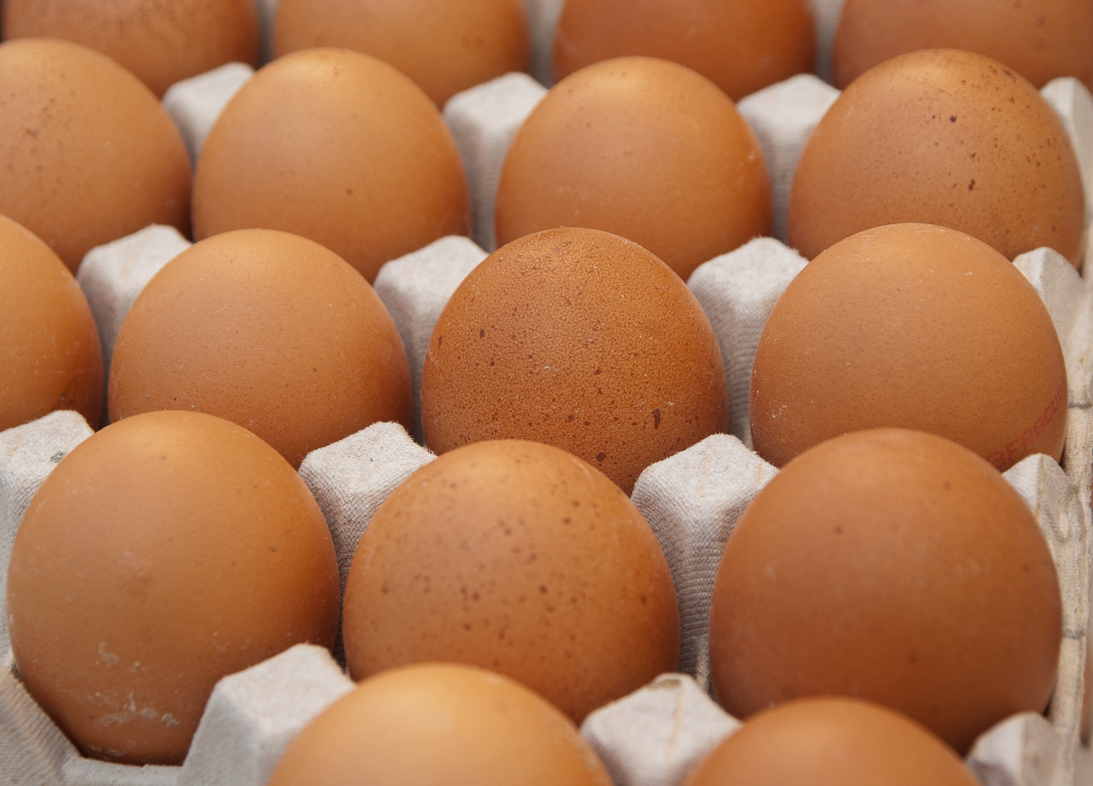Eggs, full frame, container, in a row, arrangement, food, brown, Market, freshness, Hen, healthy Eating, farm, Egg Carton, animal Egg, box, order, breakfast, HD Wallpaper