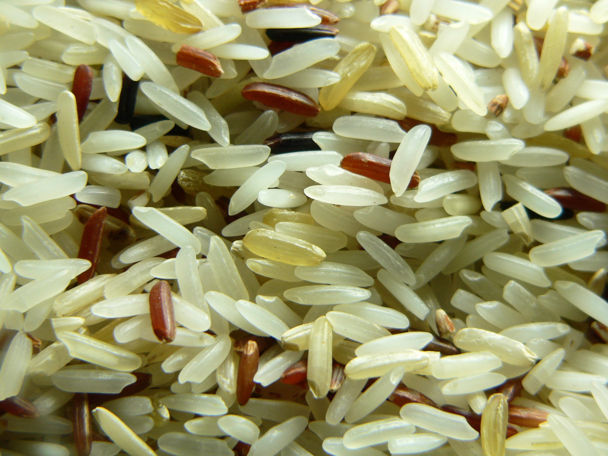 raw Food, organic, still life, wellbeing, nature, Rice, Plant, indoors, backgrounds, no people, food, vegetable, nutrition, harvest, abundance, ready-to-eat, HD Wallpaper