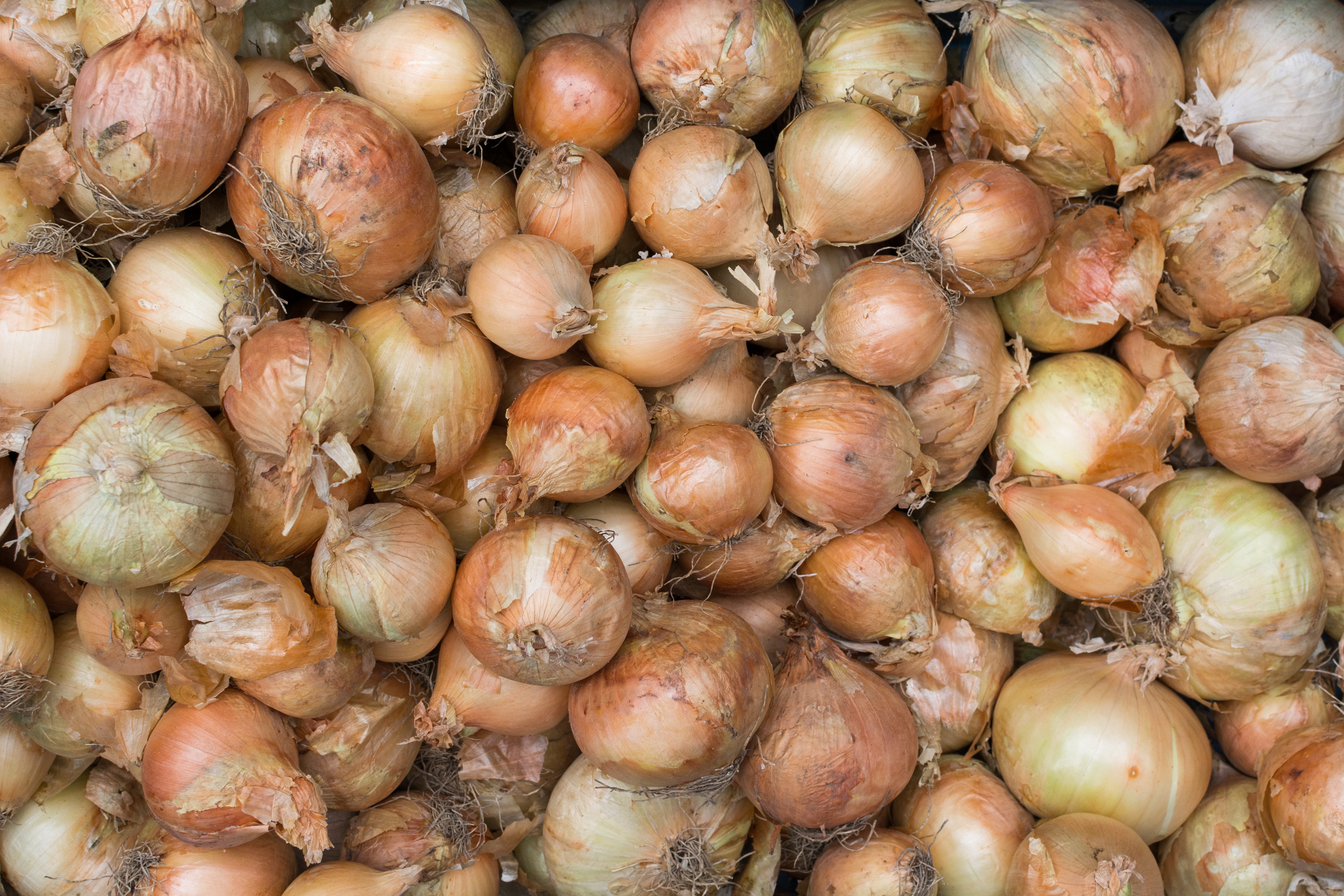 no people, high angle view, nature, food, abundance, filled frame, backgrounds, 5K, large group of animals, close-up, ingredient, wellbeing, market stall, HD Wallpaper