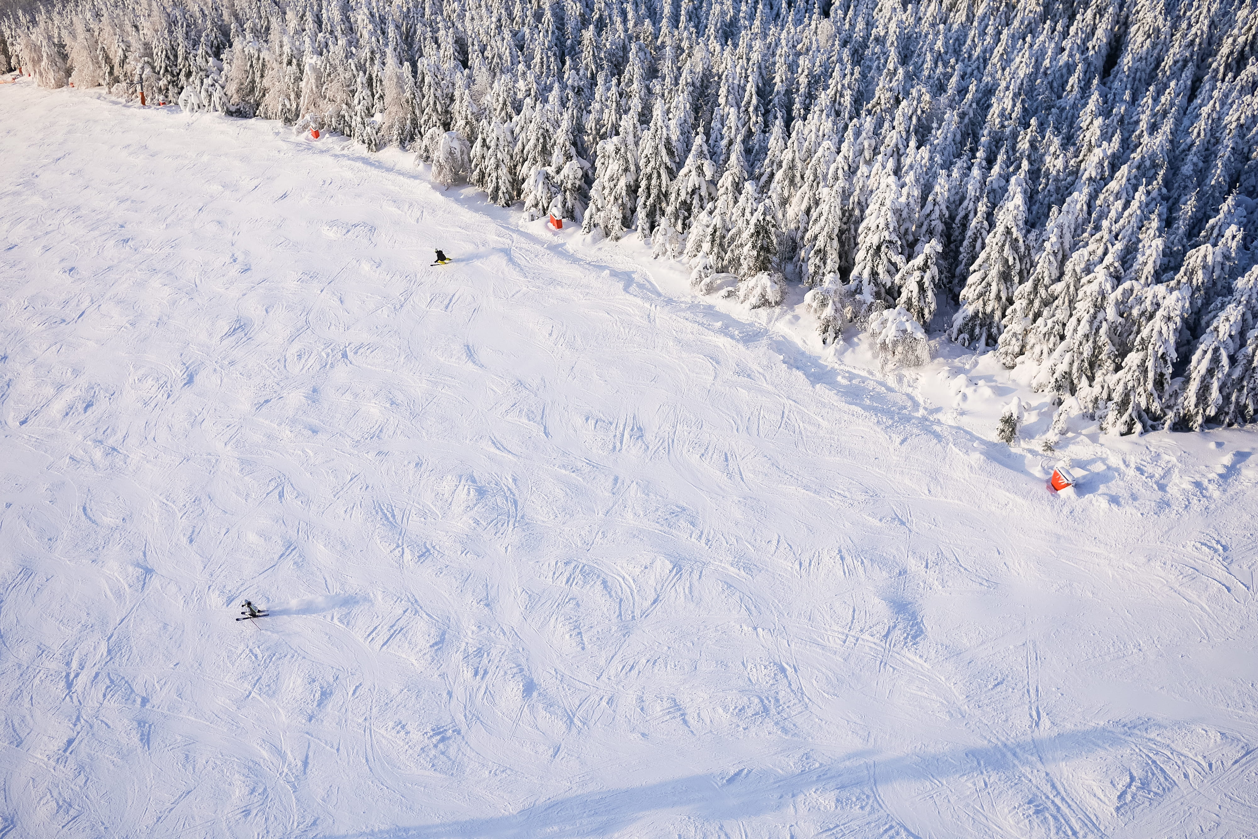 scenics - nature, transportation, weather, powder snow, forest, hills, landscape, outdoors, snowcapped mountain, day, 4K, skiing, field, mountains, ski, HD Wallpaper