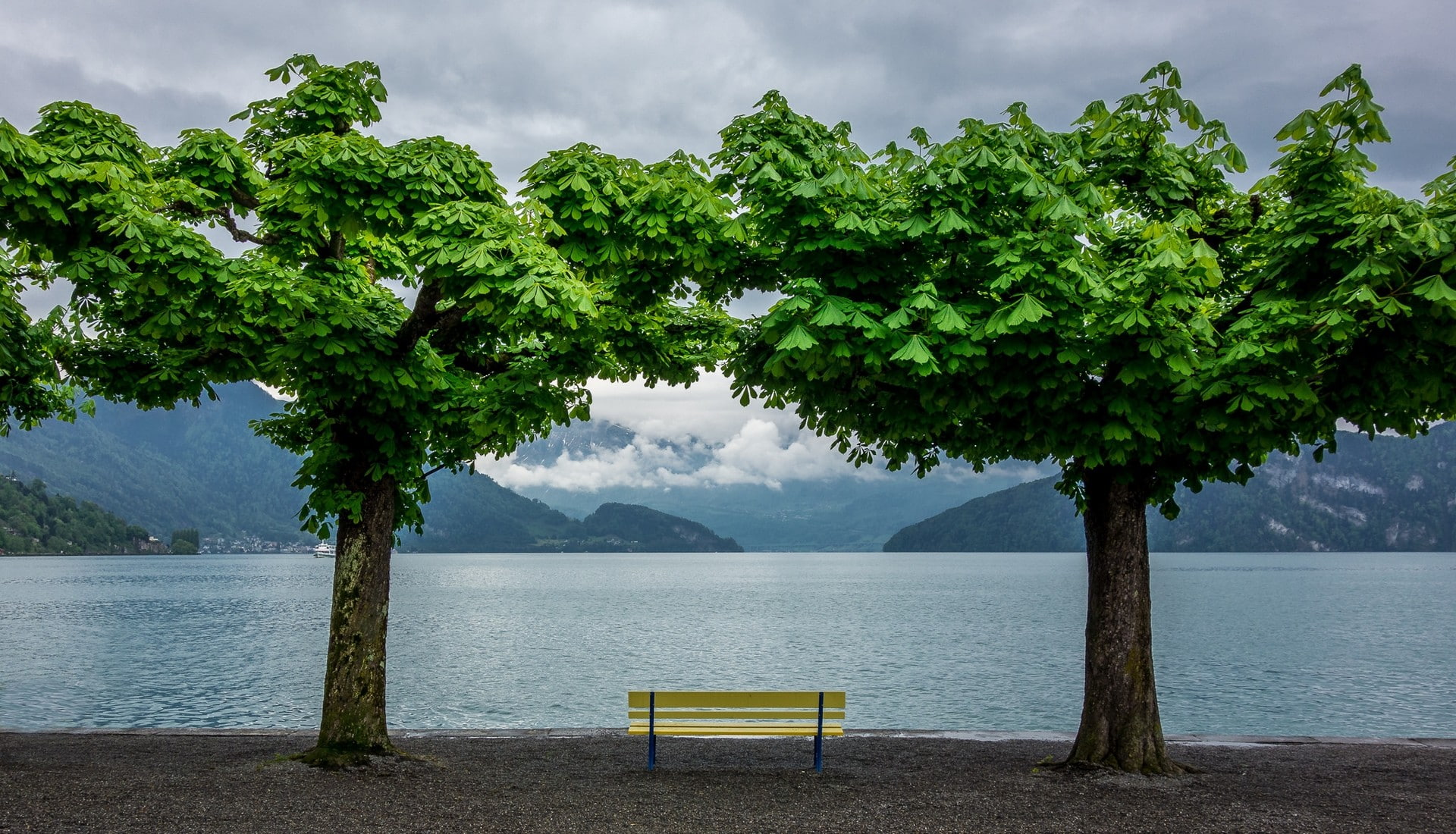 bench, trees, 1080P, HD Wallpaper