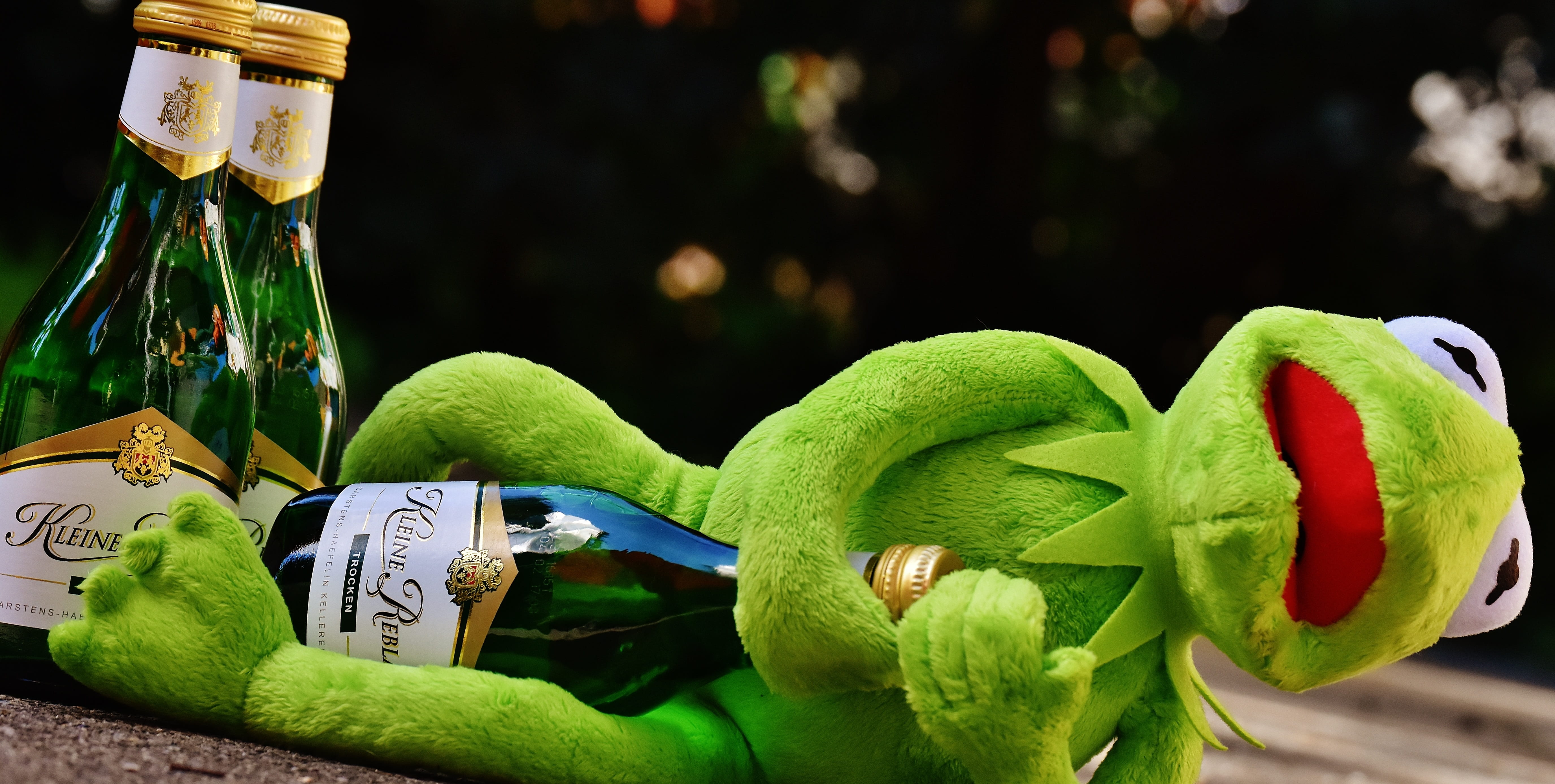 food, table, no people, animal, close-up, wine, alcohol, drunk, green color, paper currency, creativity, wine bottle, healthy eating, fruit, sit, rest, HD Wallpaper