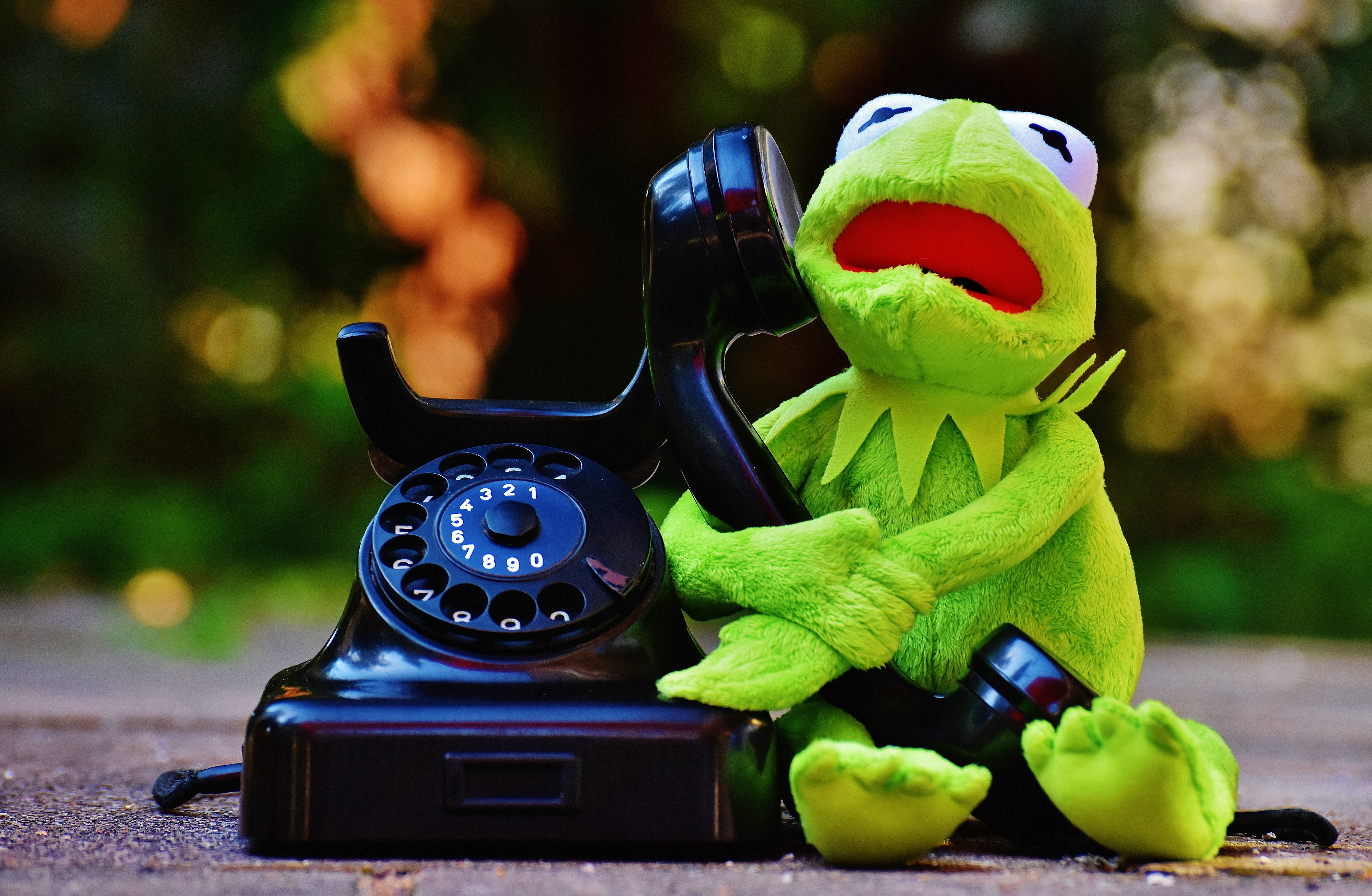 telephone, figure, close-up, communication, toy, no people, animal themes, kermit, plush, nature, green color, frog, animal representation, funny, focus on foreground, HD Wallpaper
