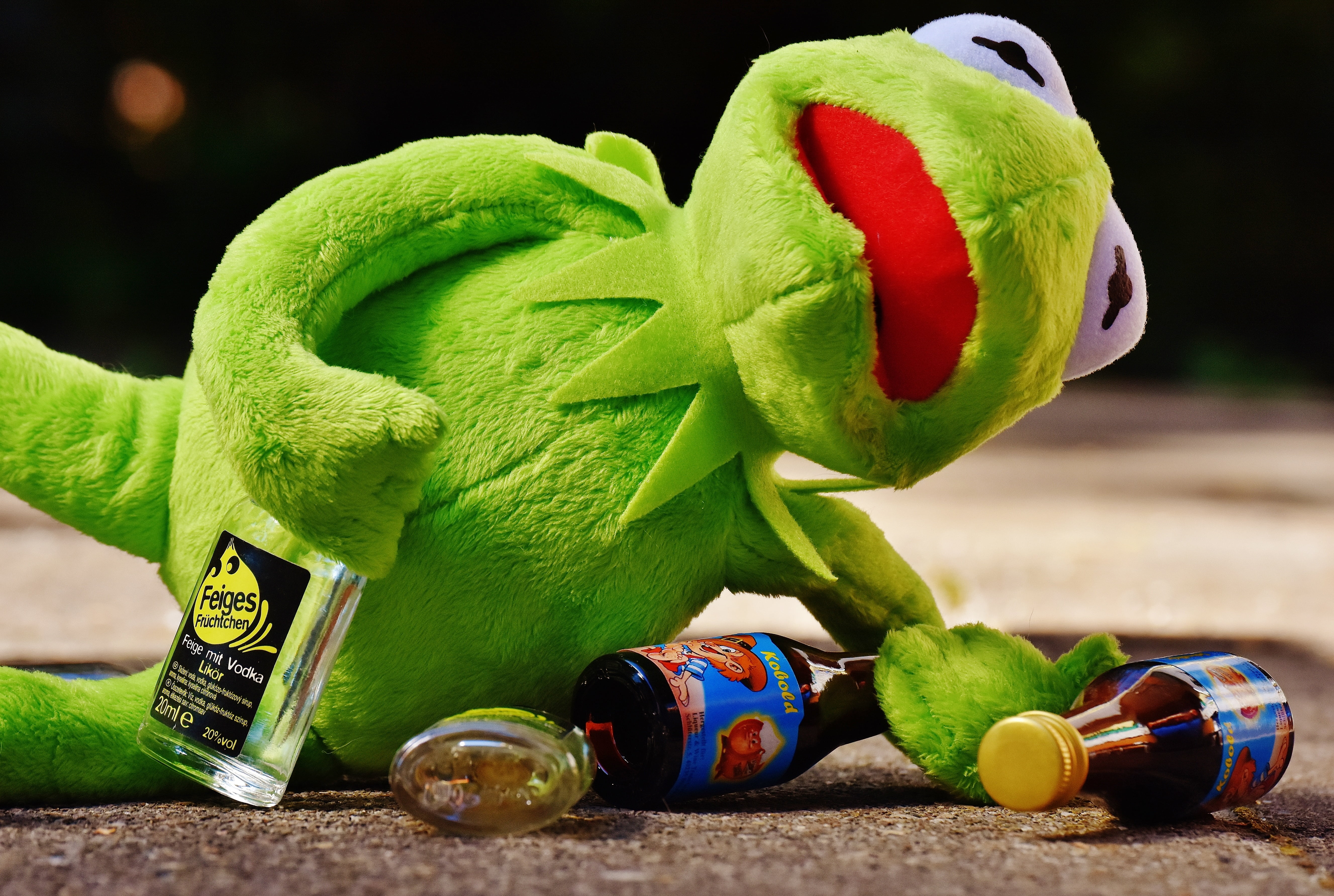plush, no people, rest, frog, celebration, figure, sit, day, toy, creativity, close-up, frogs, drink, alcohol, animal, focus on foreground, container, representation, HD Wallpaper