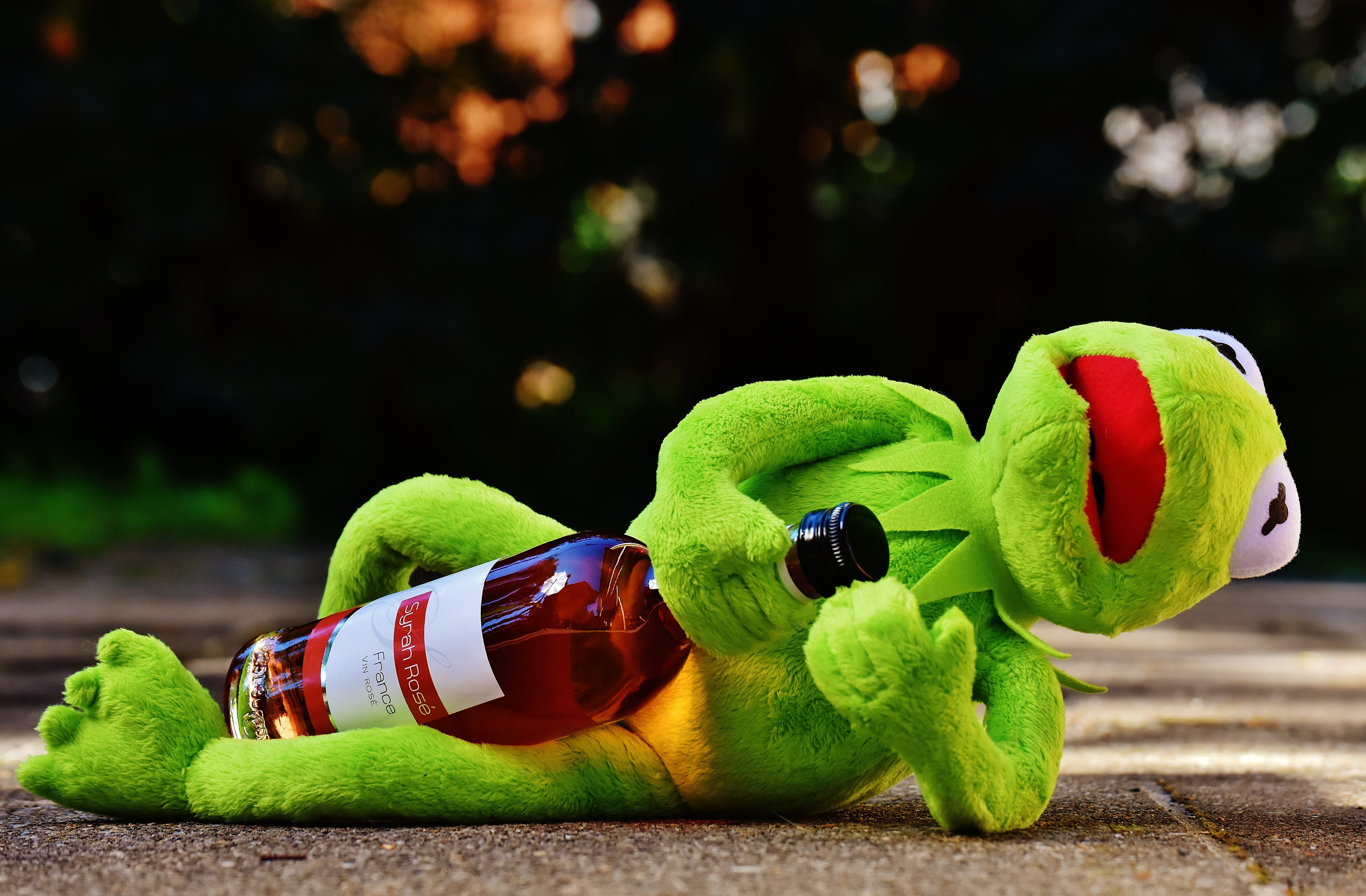 bottle, germany, representation, no people, creativity, funny, drunk, kermit, still life, wine bottle, fun, 5K, spain, wine, stuffed animal, holiday, art and craft, HD Wallpaper