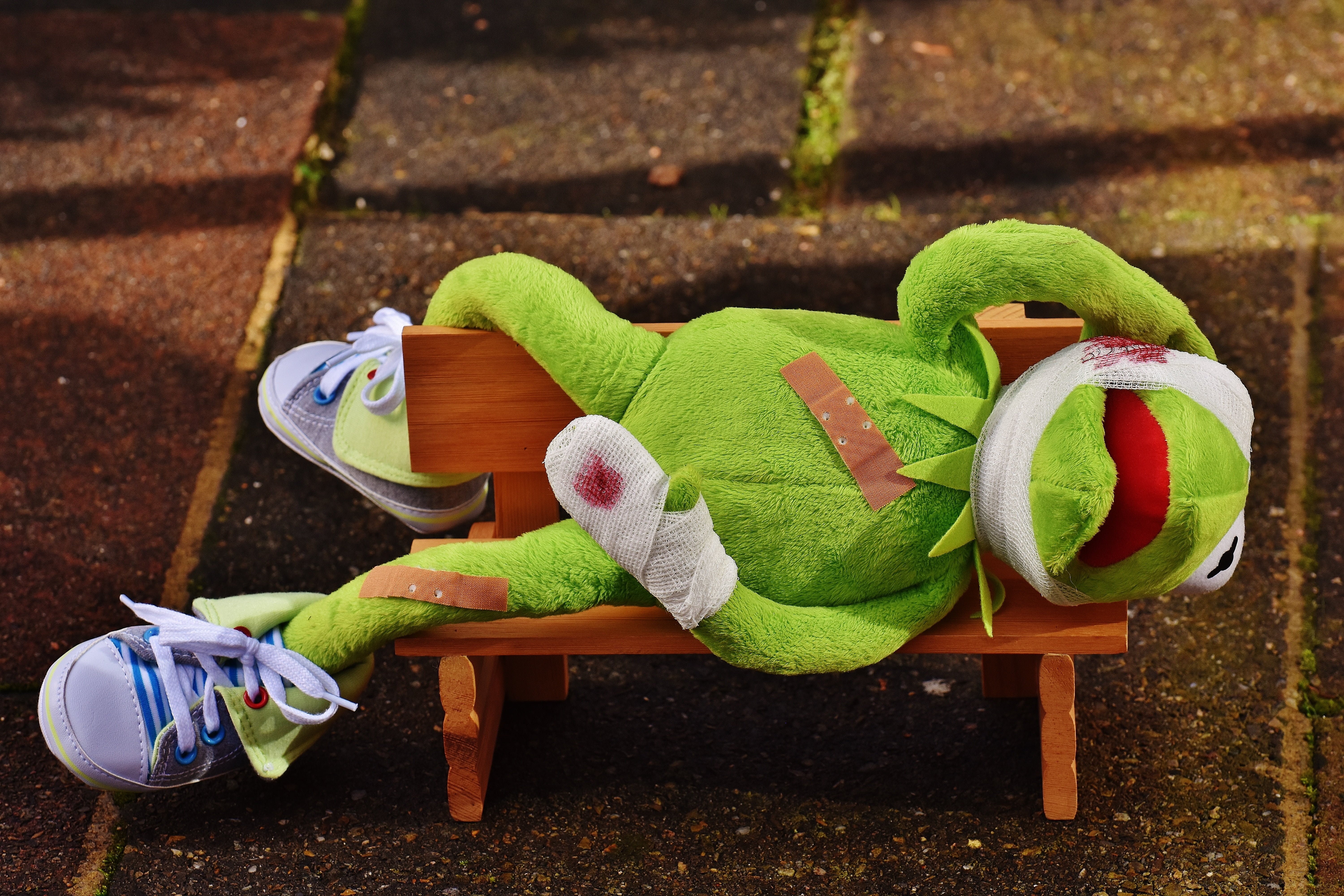 close-up, toys, animal representation, growth, stuffed animal, art and craft, concerns, cute, bank, cloth figure, children, kermit, creativity, animal, HD Wallpaper