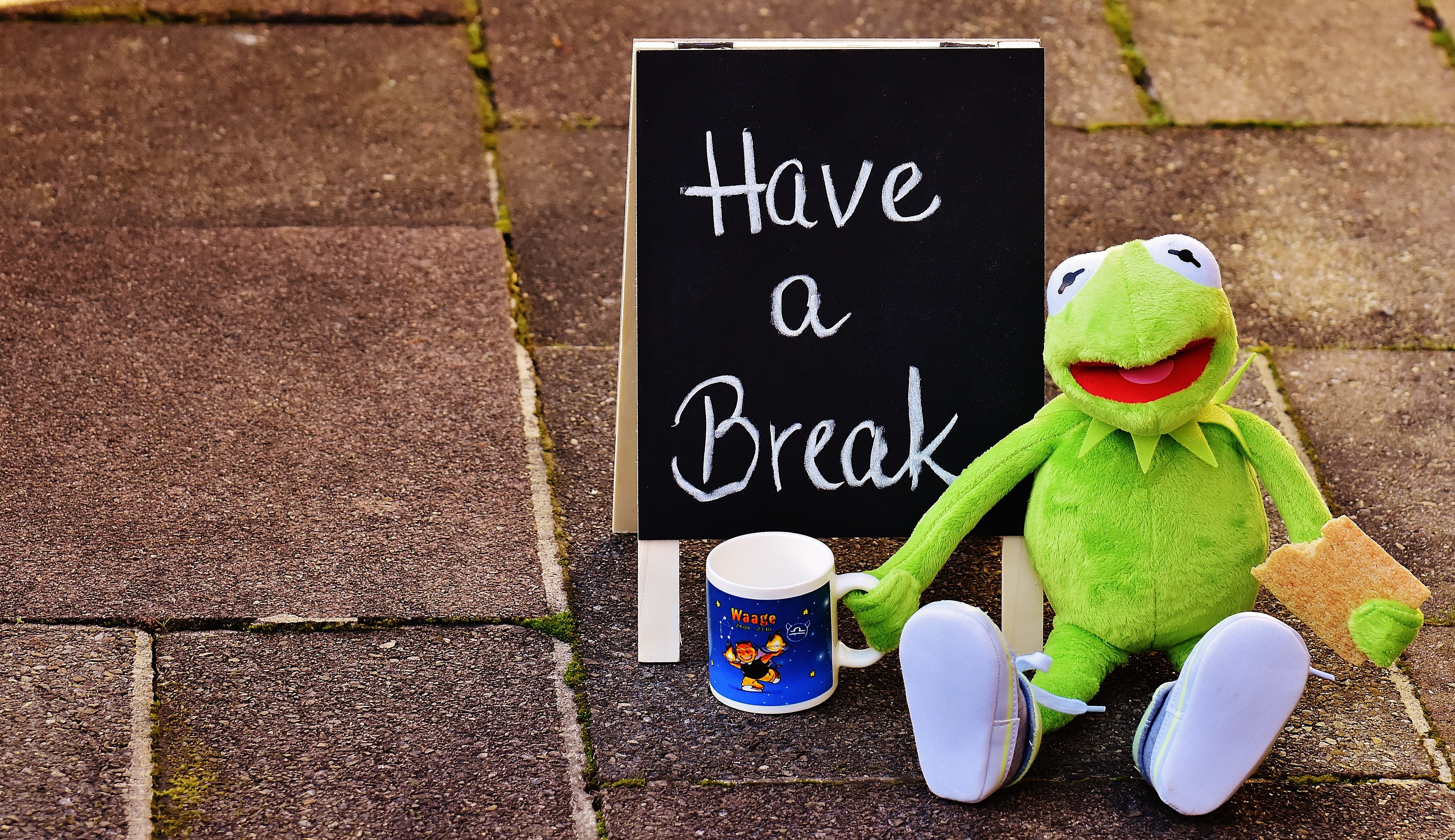 blackboard, text, 4K, close-up, frog, footpath, sign, message, representation, cup, alexas photos, cute, outdoors, coffee mugs, no people, stuffed animal, HD Wallpaper