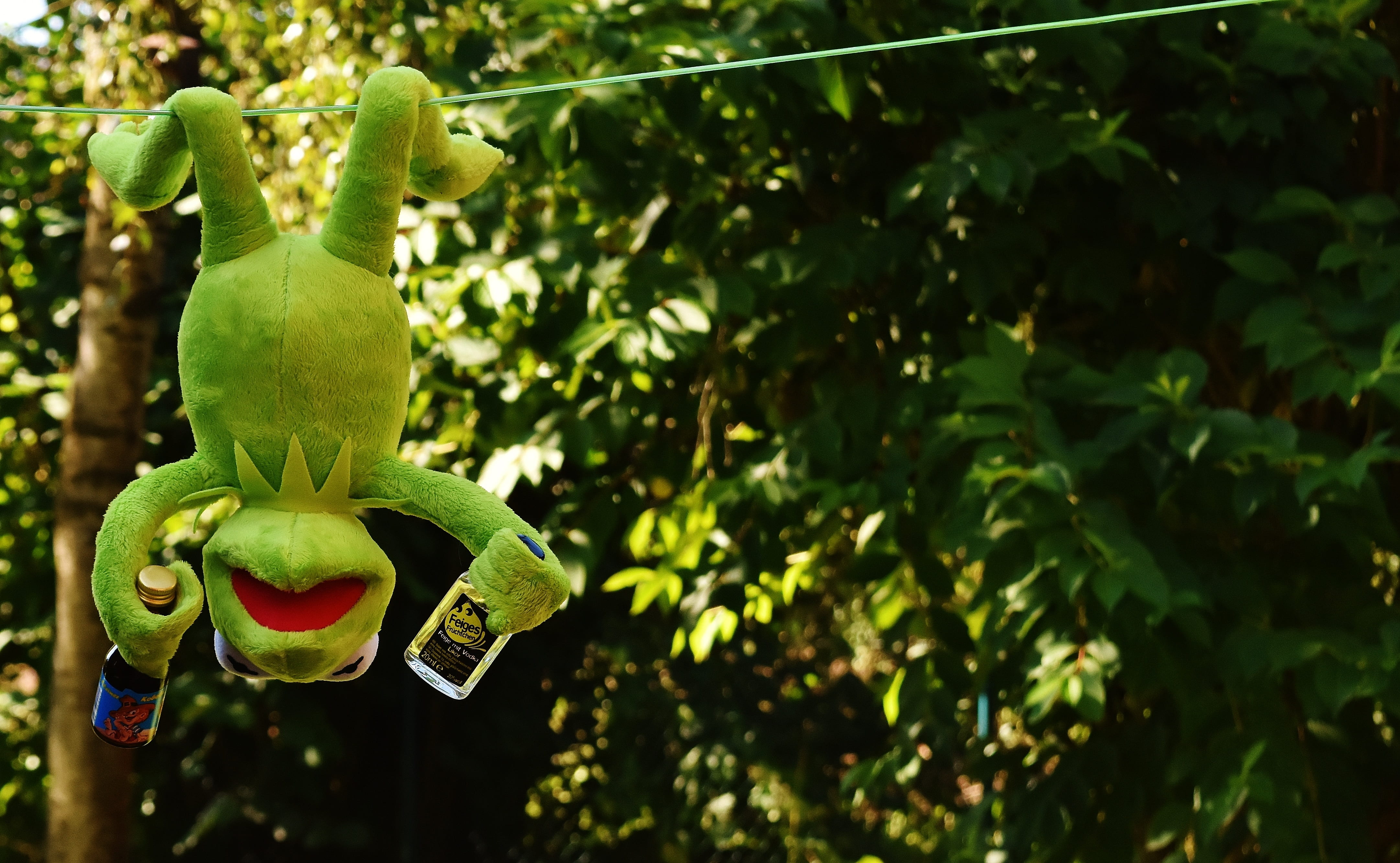 rest, no people, hang out, soft toy, are, tree, cute, funny, human representation, art and craft, toys, cable, day, sweet, plant, nature, creativity, figure, HD Wallpaper
