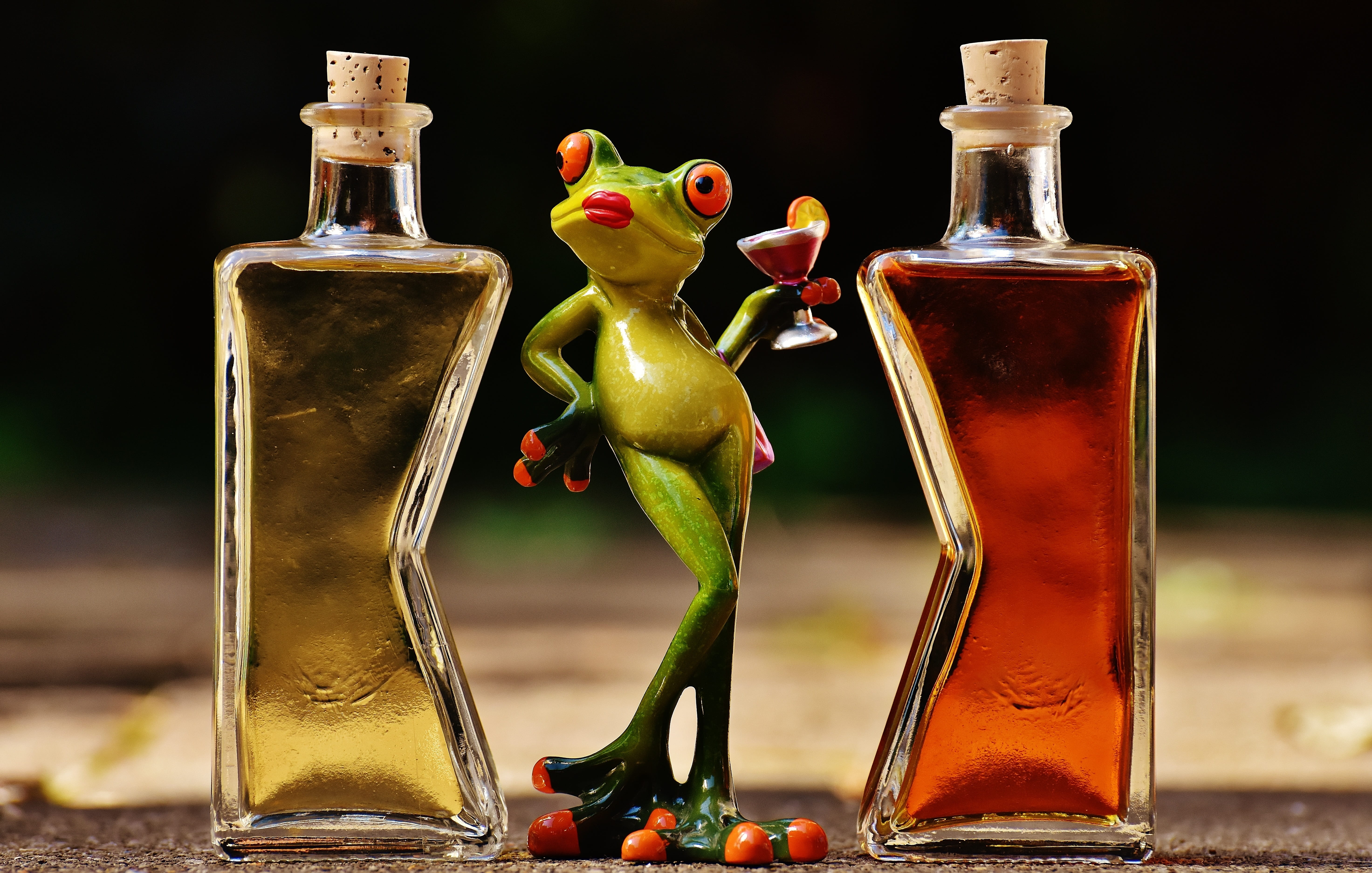 alcohol, vegetable, close-up, bottle, frog, container, food, oil, healthy eating, food and drink, funny, refreshment, no people, frogs, glass - material, HD Wallpaper