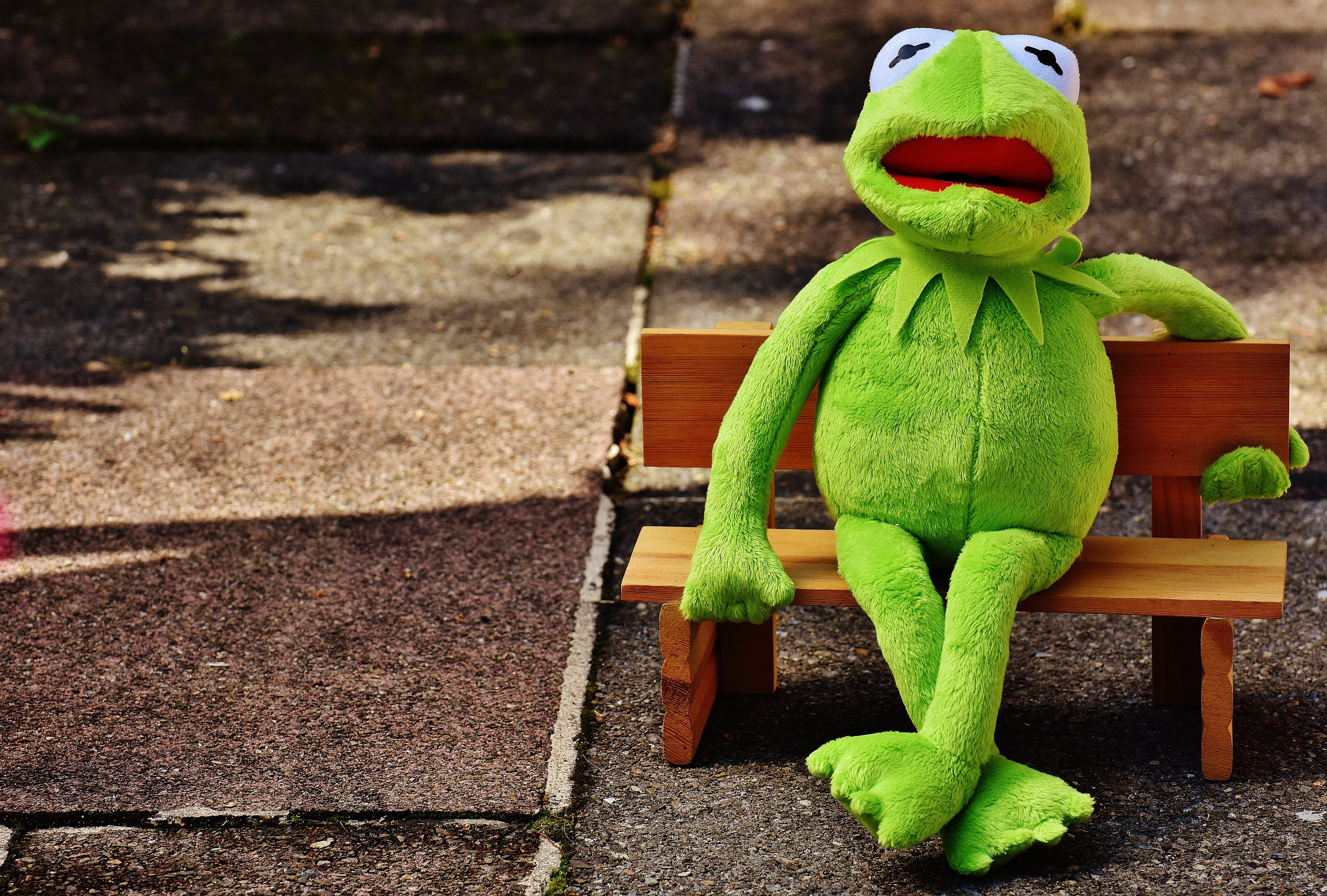 kermit, stuffed animal, animal, funny, park - man made space, bench, stuffed toy, nature, art and craft, wood - material, frog, day, still life, seat, sit, HD Wallpaper
