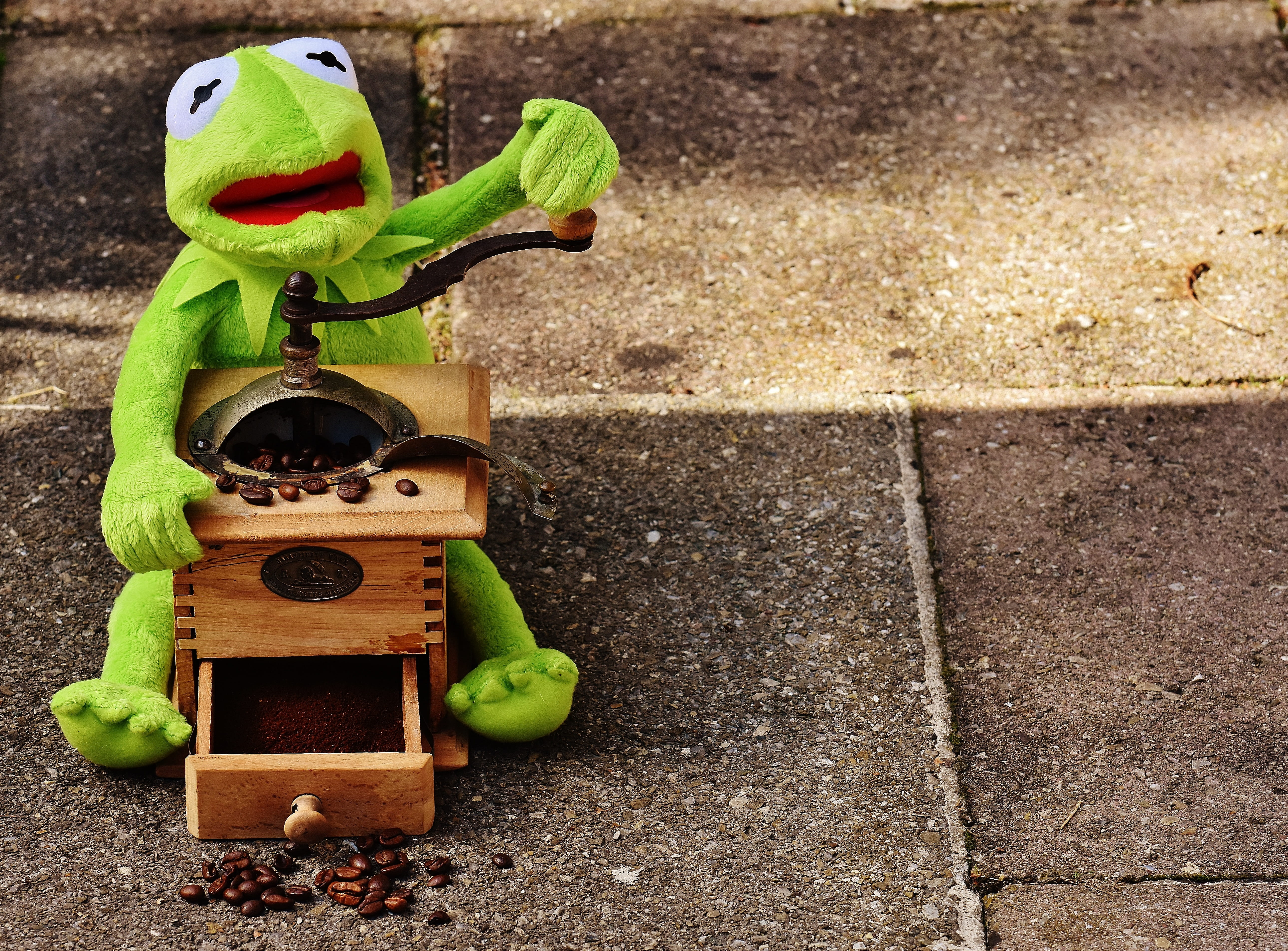 grind, figure, holding, soft toy, art and craft, creativity, green, coffee, craft, close-up, frog, grinder, high angle view, animal representation, toys, HD Wallpaper