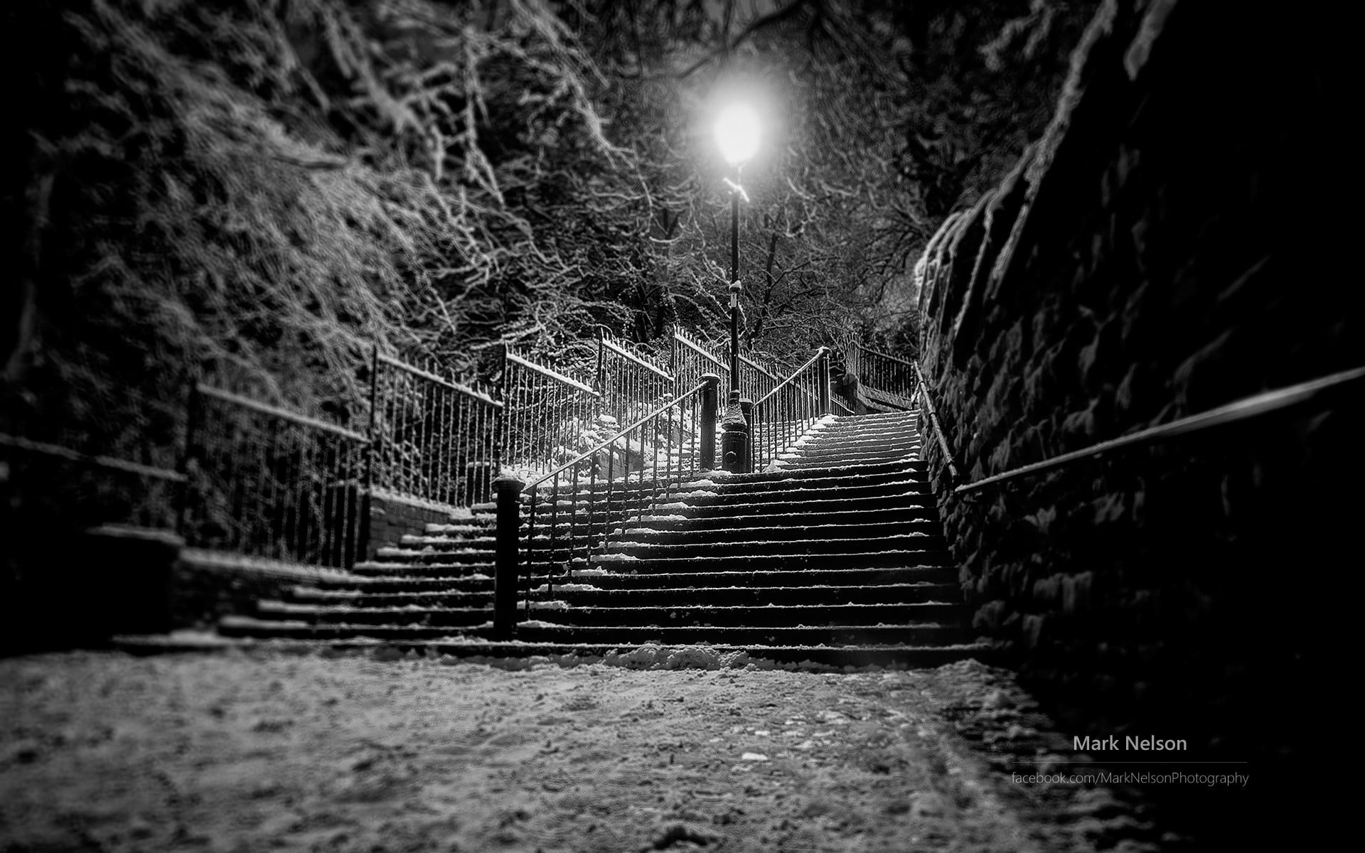 post, city, winter, railing, selective focus, diminishing perspective, night, plant, steps and staircases, nature, outdoors, lamp, street, street light, HD Wallpaper