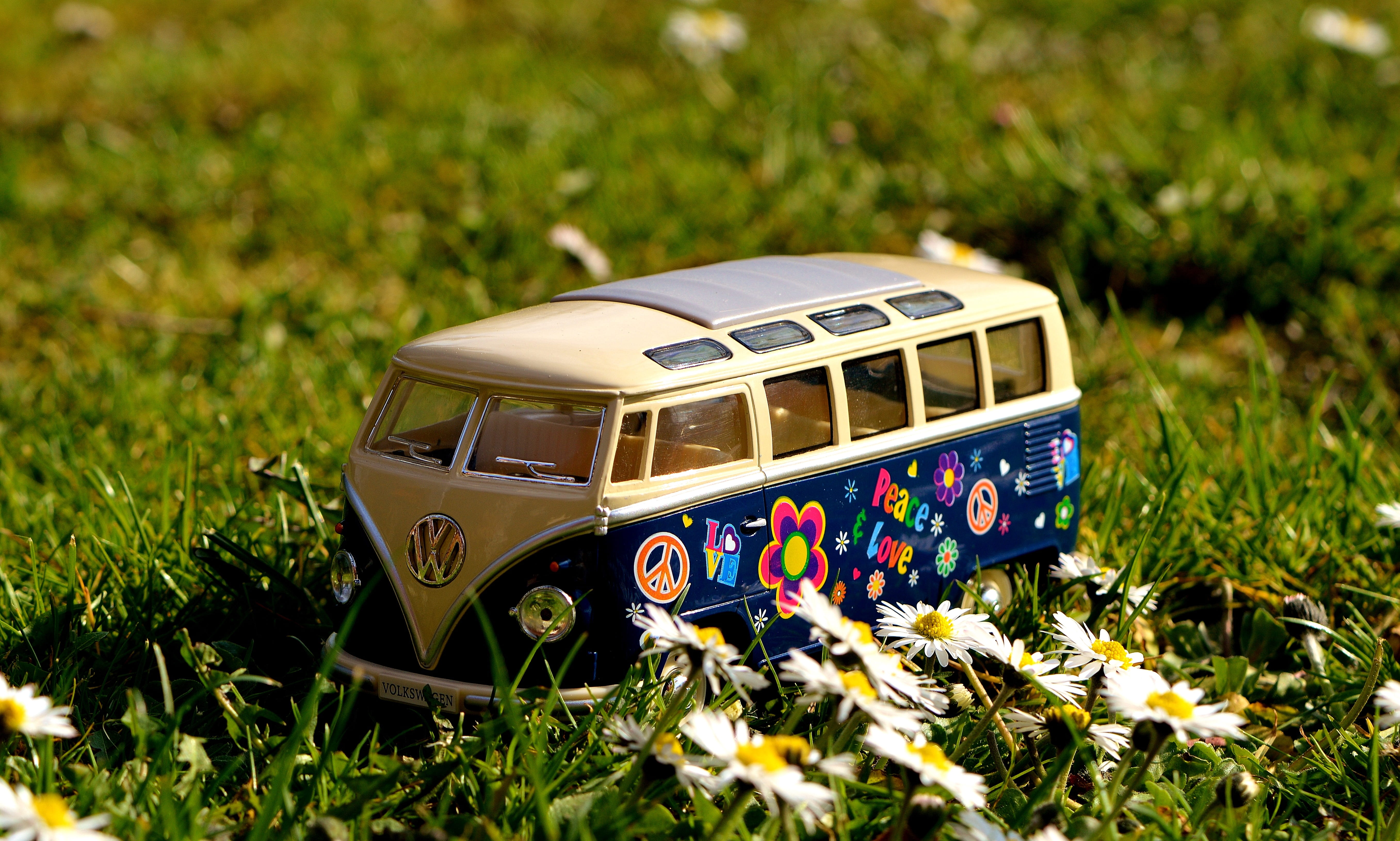 Vw Bus, land, nature, model car, Bulli, die, t, cast, fun, selective focus, beige, vw bulli, blue, automobile, plant, mode of transportation, classic, cult, HD Wallpaper