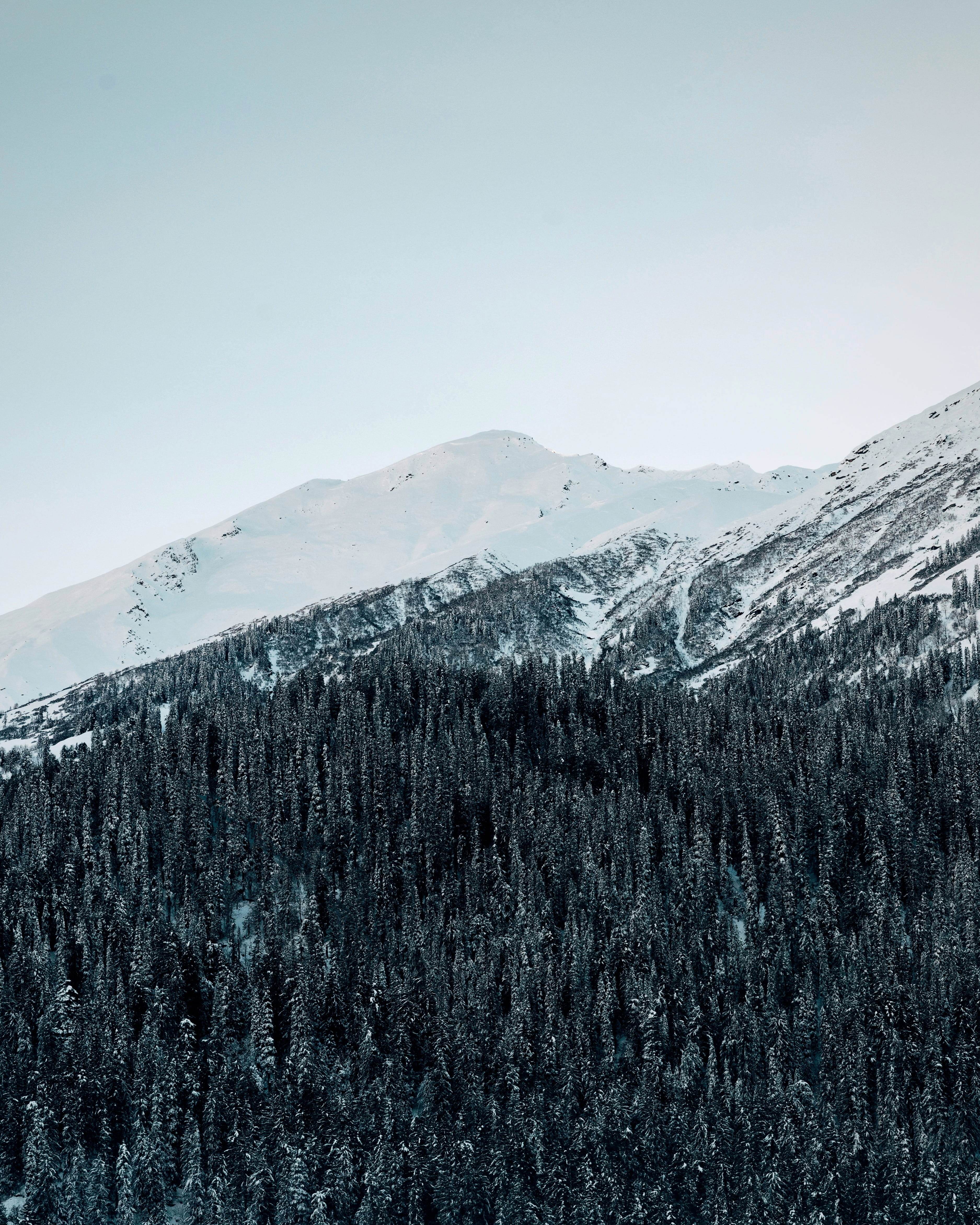 sky, scenics - nature, beauty in nature, kasol, 4K, plant, india, peak, trees, tranquility, fir, outdoors, tranquil scene, pine, landscape, minimal, coniferous tree, Phone HD Wallpaper