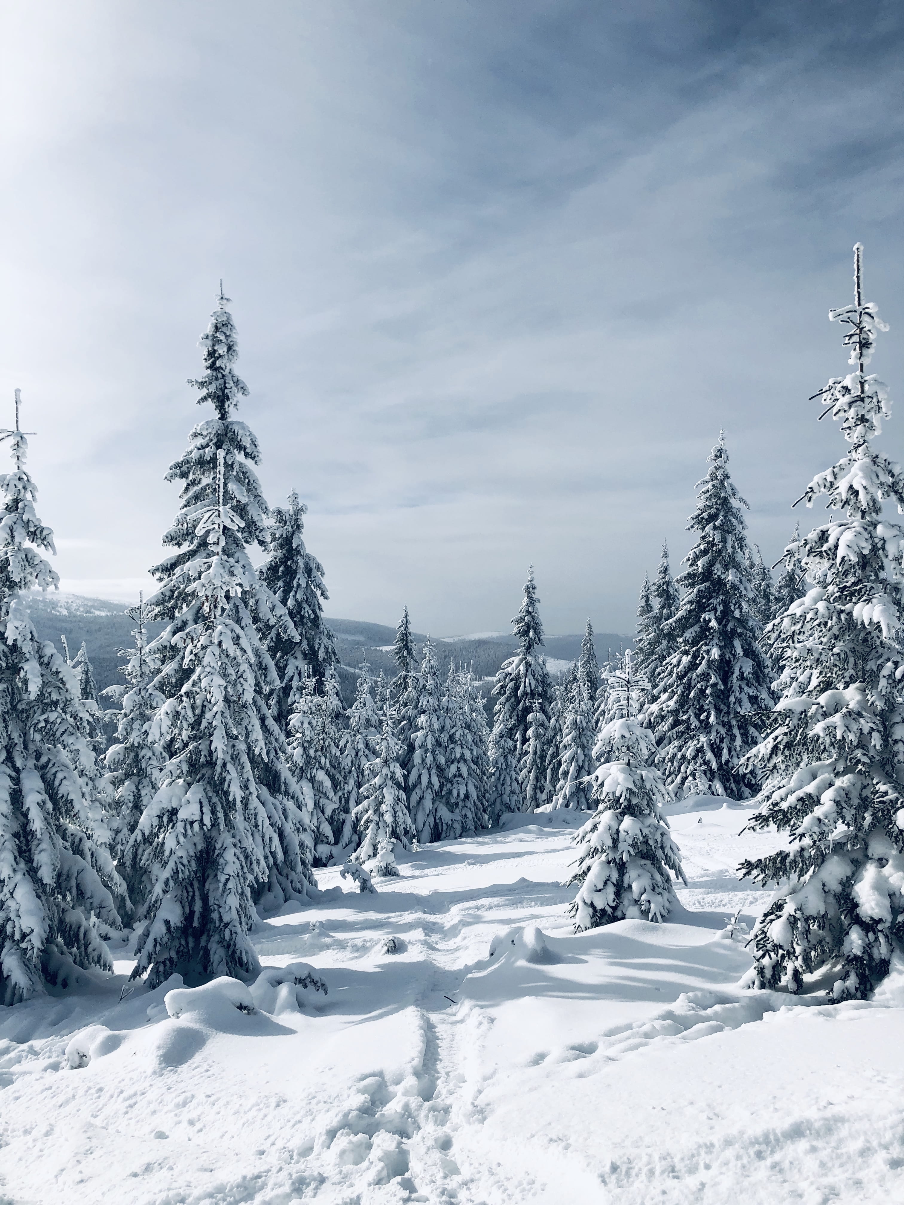 tranquil scene, unnamed road, winter, tranquility, romania, snowcapped mountain, outdoors, fir, love, sky, land, white color, no people, tree, magic, covering, Phone HD Wallpaper