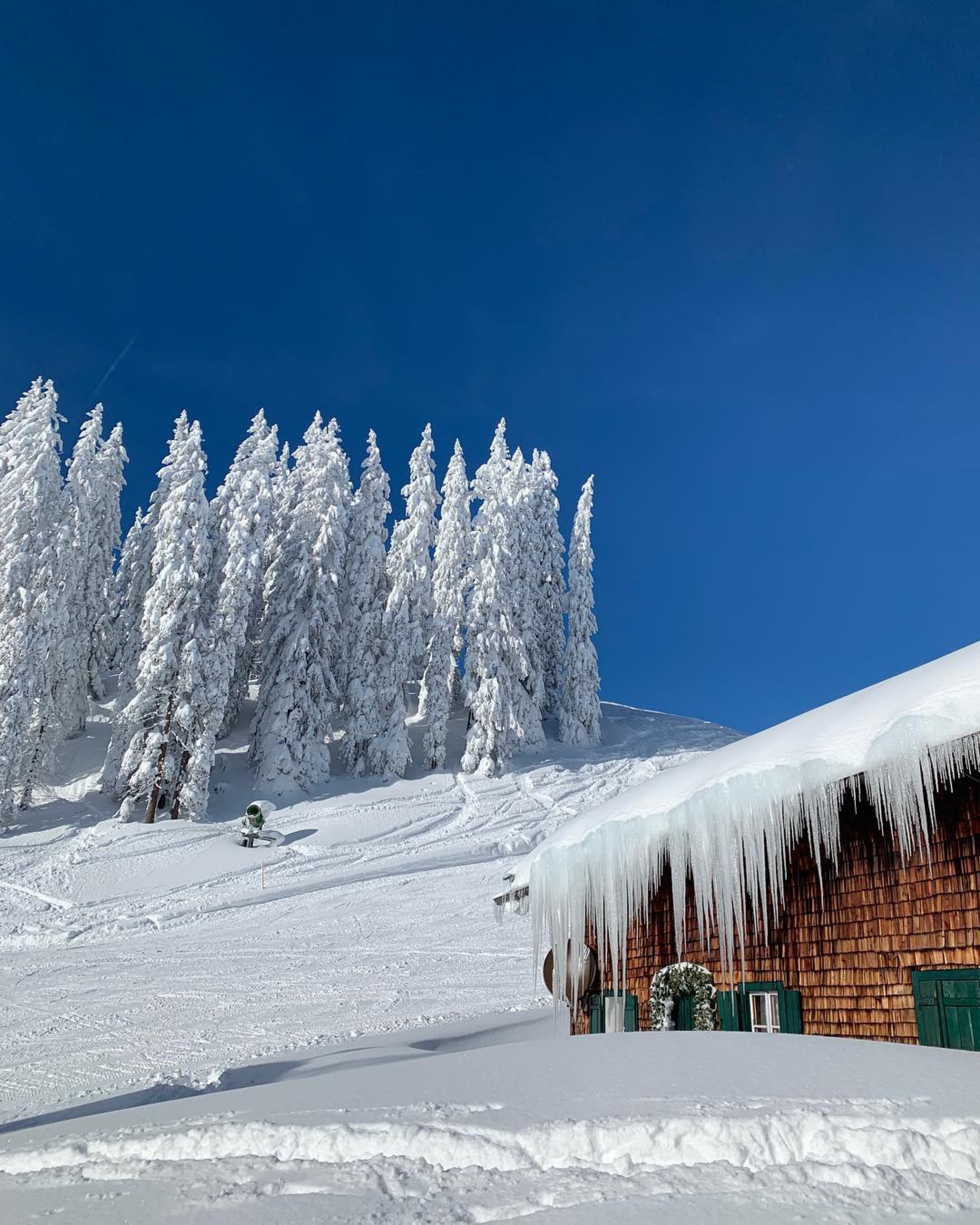 tranquility, nature, abies, snow trees, 2K, frozen, pine tree, no people, cold temperature, icicles, person, hut in the snow, landscape, tree, bluebird day, Phone HD Wallpaper