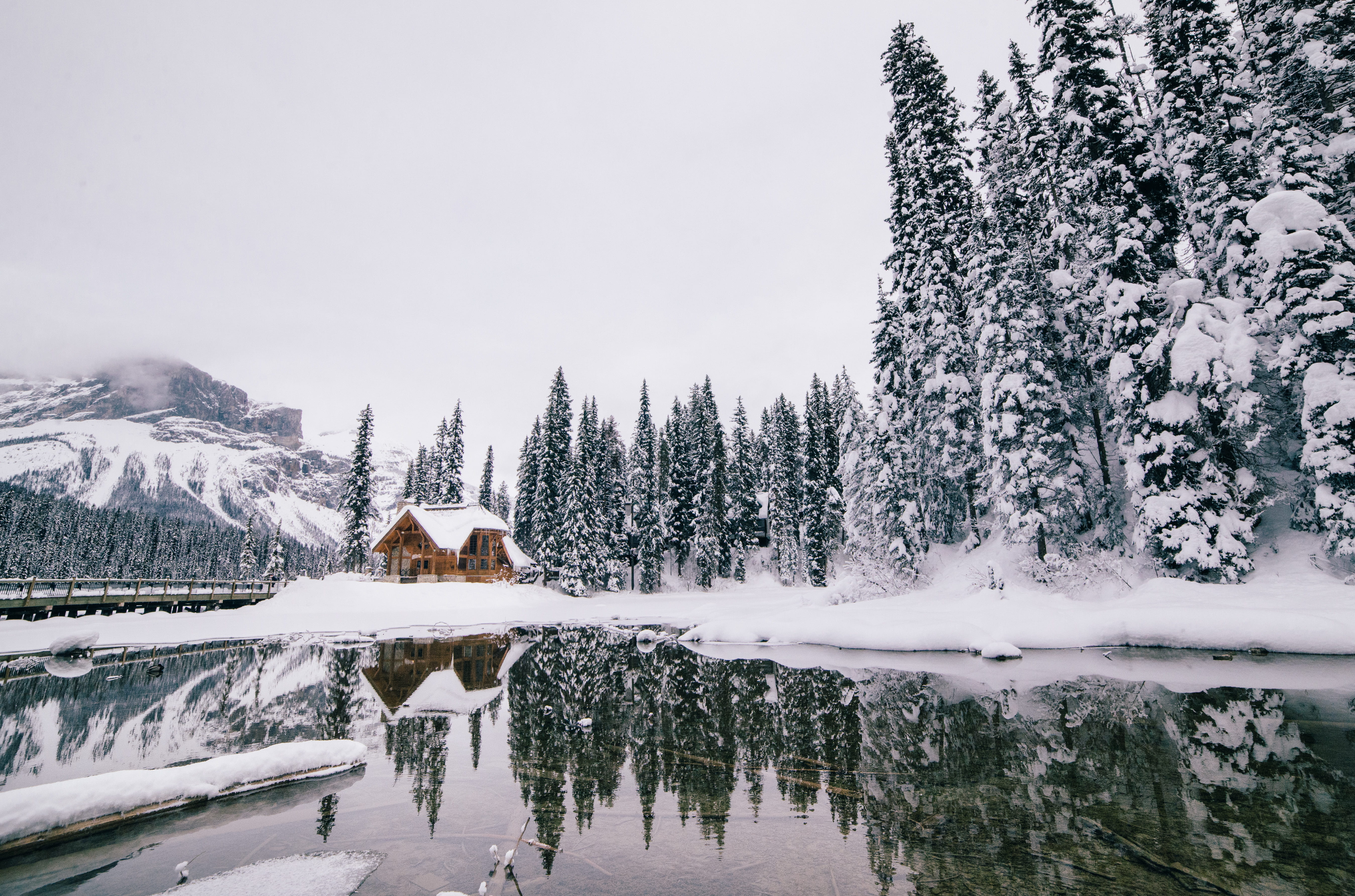non-urban scene, reflection, 5K, green, water, housing, house, tree, cabin, tranquility, frost, plant, winter, countryside, cottage, nature, land, tranquil scene, HD Wallpaper