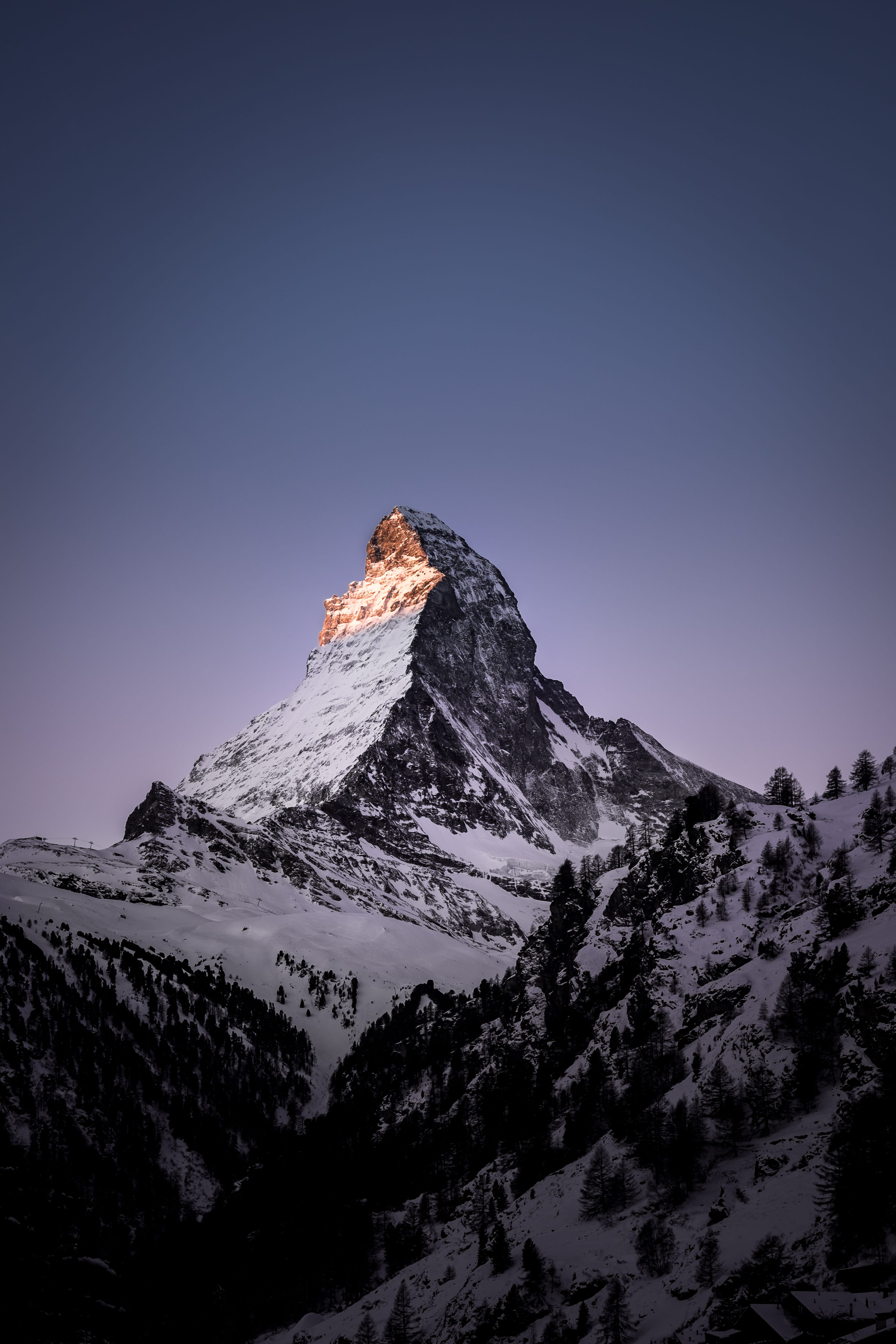 scenics - nature, tranquil scene, abies, extreme weather, zermatt, tree, fir, cold temperature, matterhorn, outdoors, space, day, clear sky, landscape, Phone HD Wallpaper
