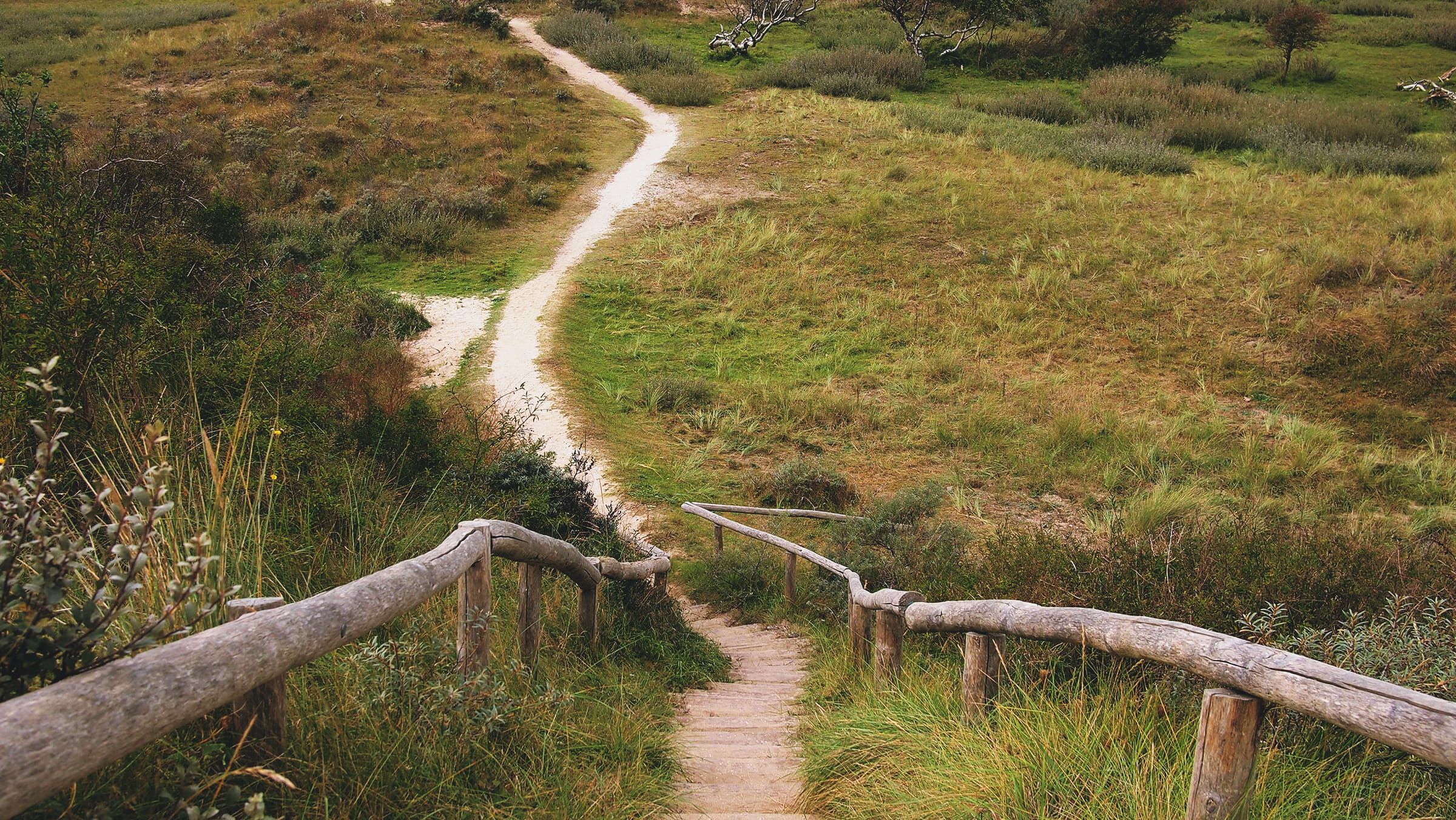 growth, pathway, tranquility, scenics, green grass, green, scenics - nature, orange, rural Scene, plant, stream - flowing water, the way forward, grass, HD Wallpaper