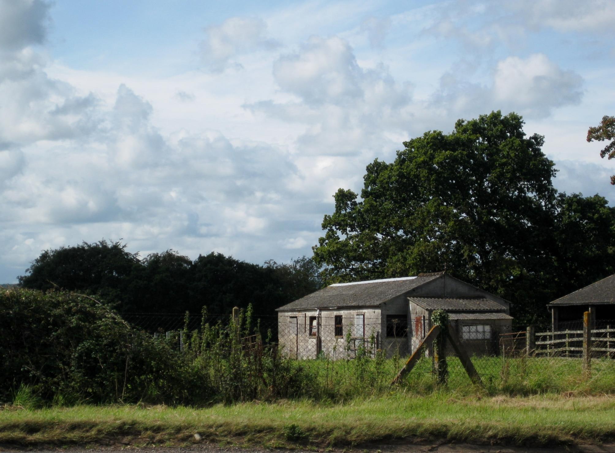 cottage, fields, houses, forgotten, grass, 1080P, cottages, aboned, trees, nature and land, united kingdom, fences, countryside, HD Wallpaper