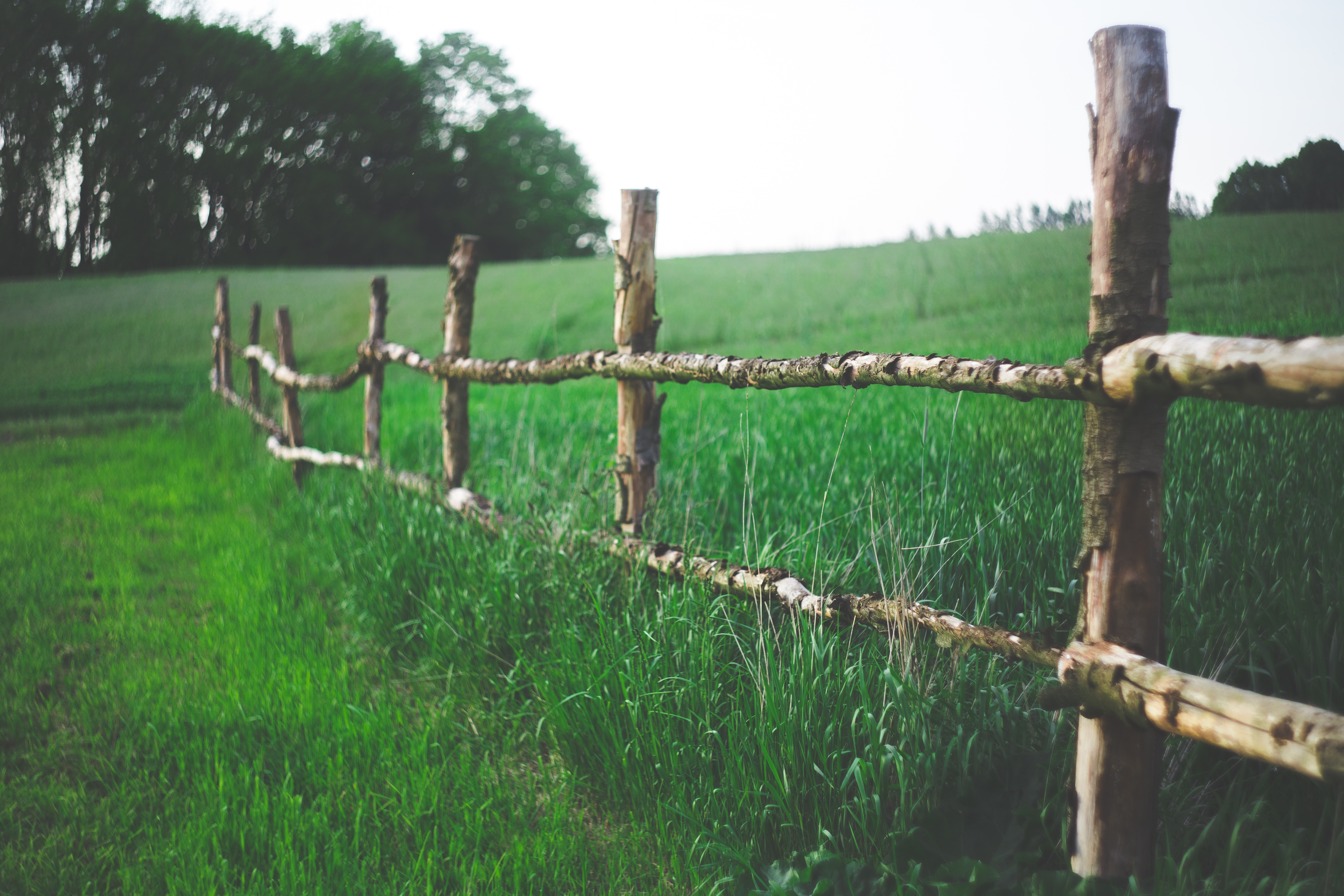pasture, barrier, wooden post, fence, wood, view, wooden, farm, protection, landscape, grass, country, sky, texture, garden, 5K, barbed wire, wire, nobody, HD Wallpaper