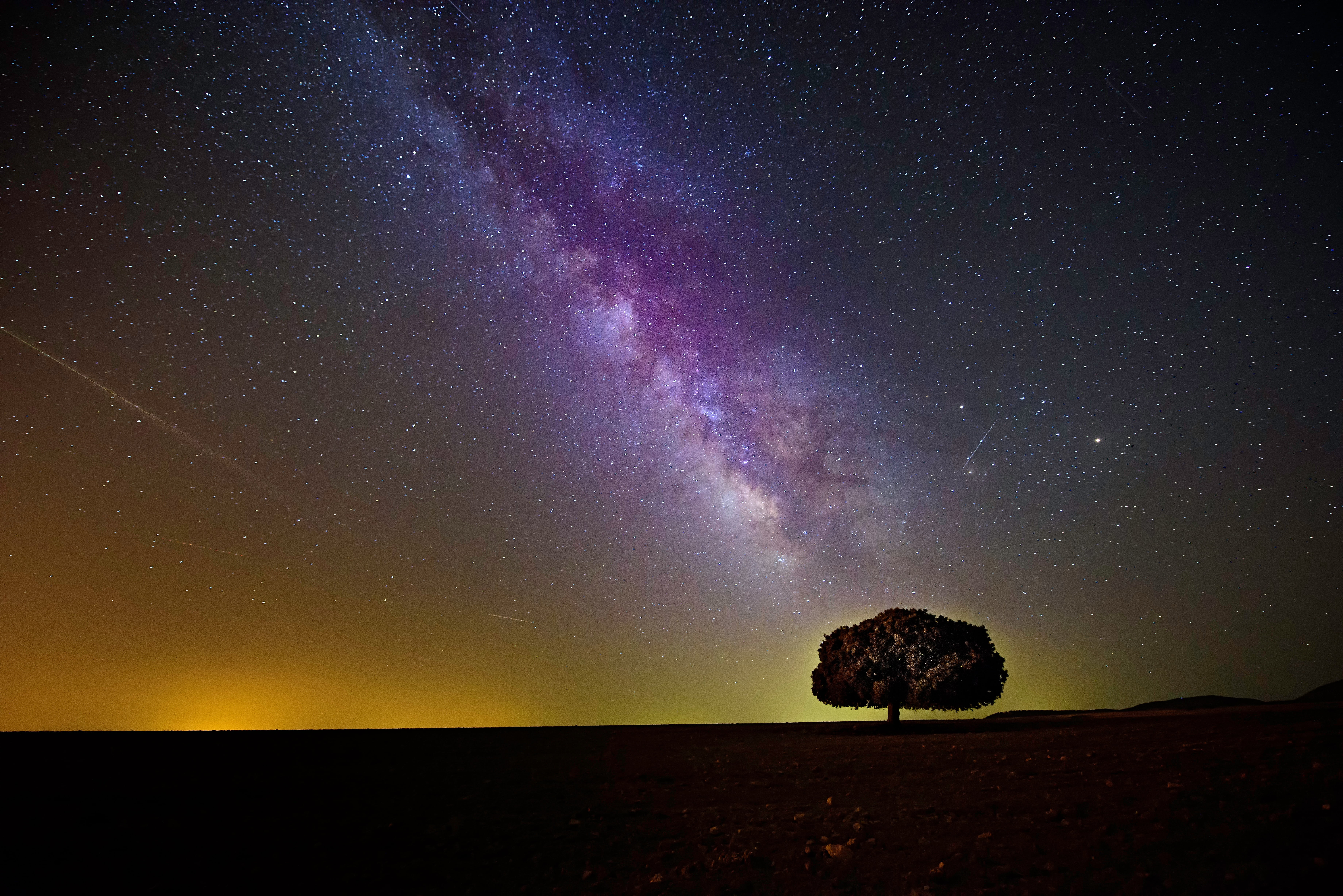 highland, beauty in nature, star, tree, milky way, time, space, light, sky, dark, outdoors, scenics, star field, galaxy, landscape, environment, purple, HD Wallpaper
