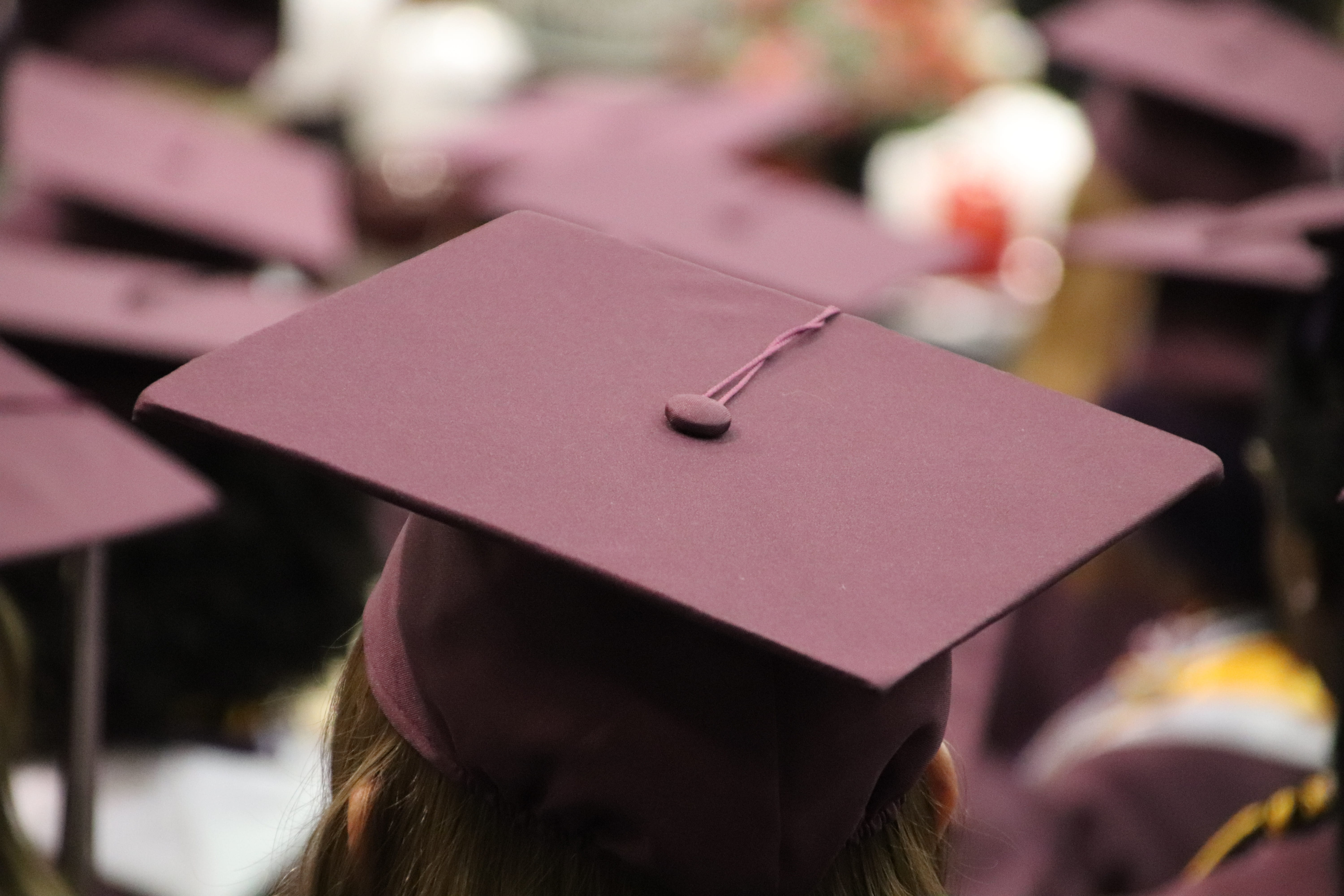 hat, 5K, mortarboard, day, graduation cap, success, nature, mortar, outdoors, women, clothing, close-up, wood - material, board, student, graduation hat, HD Wallpaper