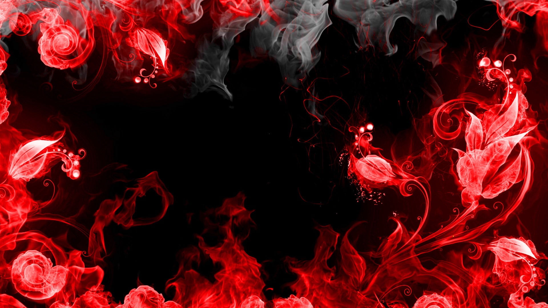 flowing, illustration, indoors, flame, colors, night, abstraction, vibrant Color, swirl, petaled, close-up, exploding, no people, black background, curve, HD Wallpaper