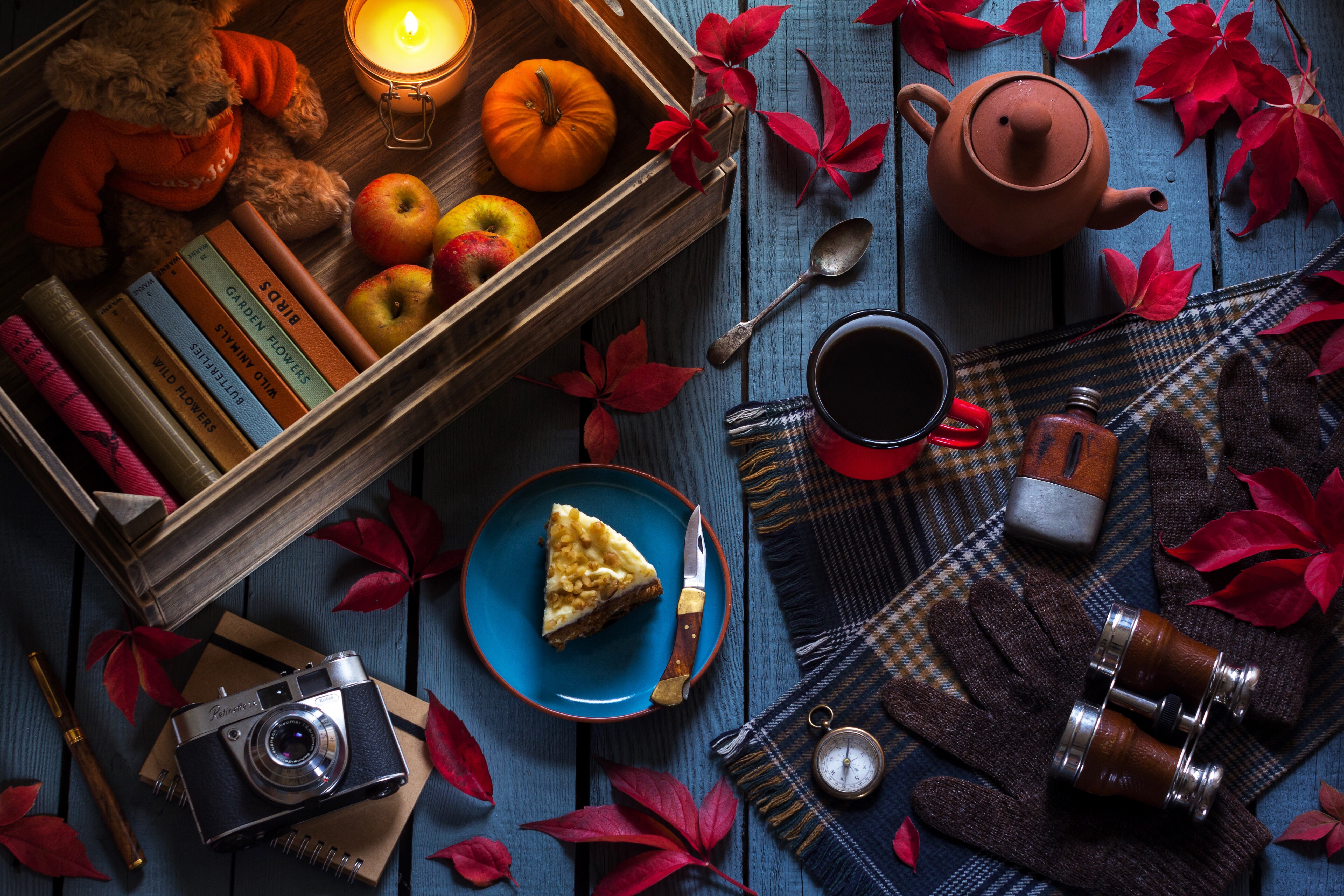 apples, compass, still life, gloves, candle, books, binoculars, 5K, kettle, Teddy bear, leaves, the camera, mug, tea, cake, HD Wallpaper