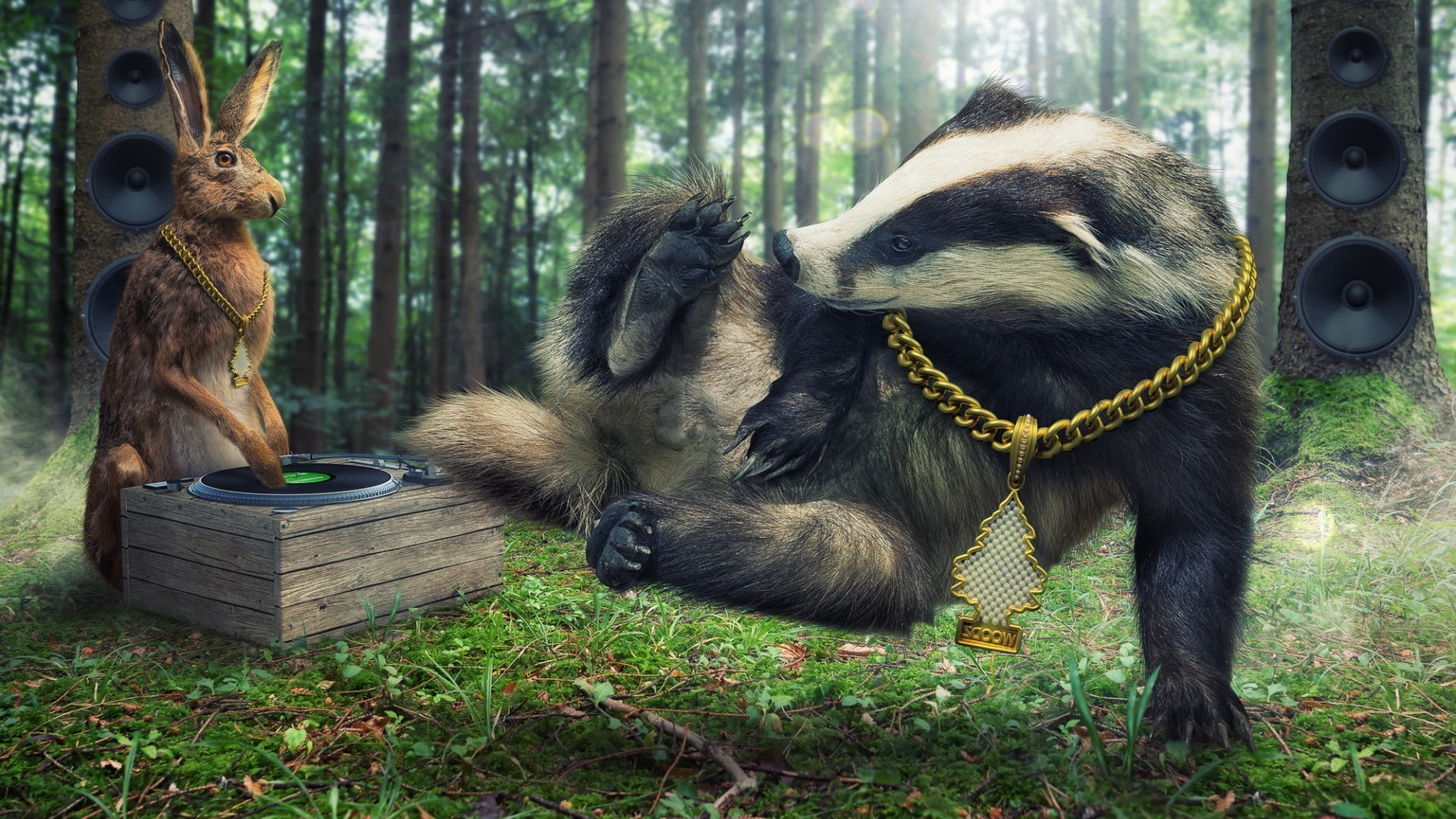 animals in the wild, 1080P, two animals, plant, animal wildlife, day, ape, nature, mammal, tree, group of animals, humor adobe photoshop creativity digital art nature trees forest rabbits badger gold chains speakers breakdance dj vinyl grass wood sunlight gramophone dancing diamonds, HD Wallpaper