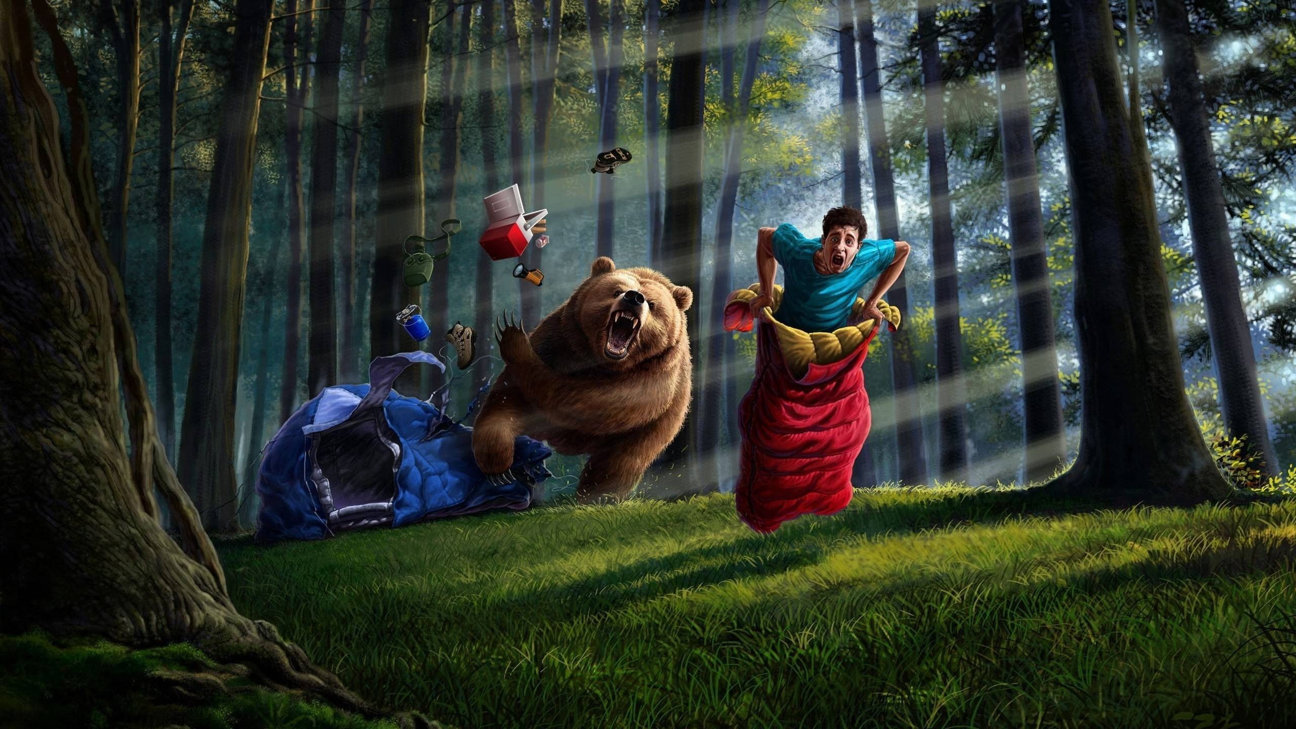 food, sunbeams, flashlight, running, bears, canteens, nature, creativity, digital art, animals, sleeping bags, sunlight, tent, jumping, Grizzly bear, forest, HD Wallpaper
