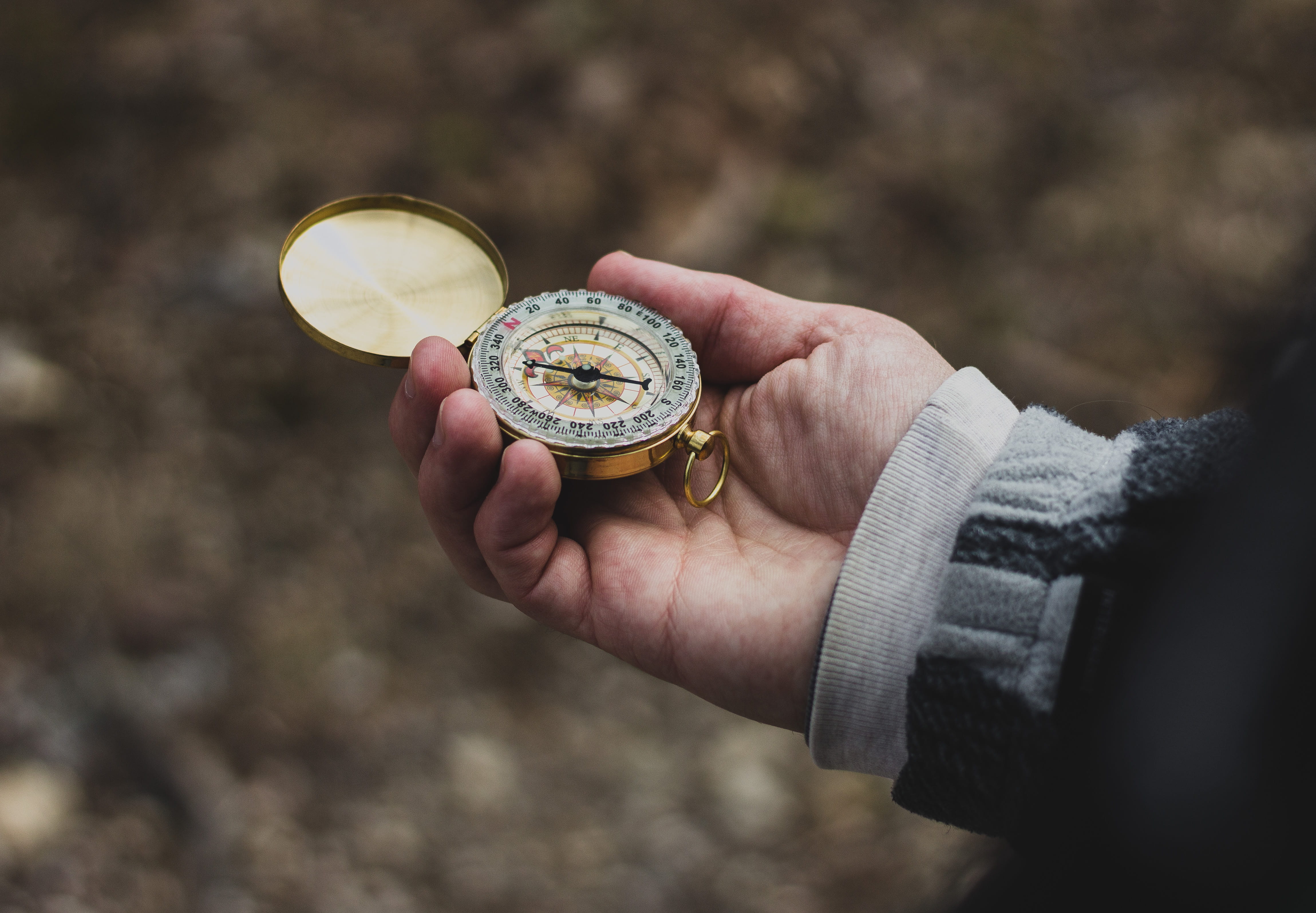 north, body part, compass, drink, food and drink, close-up, men, human Hand, finance, gold, one person, focus on foreground, using, orienteering, adventure, HD Wallpaper
