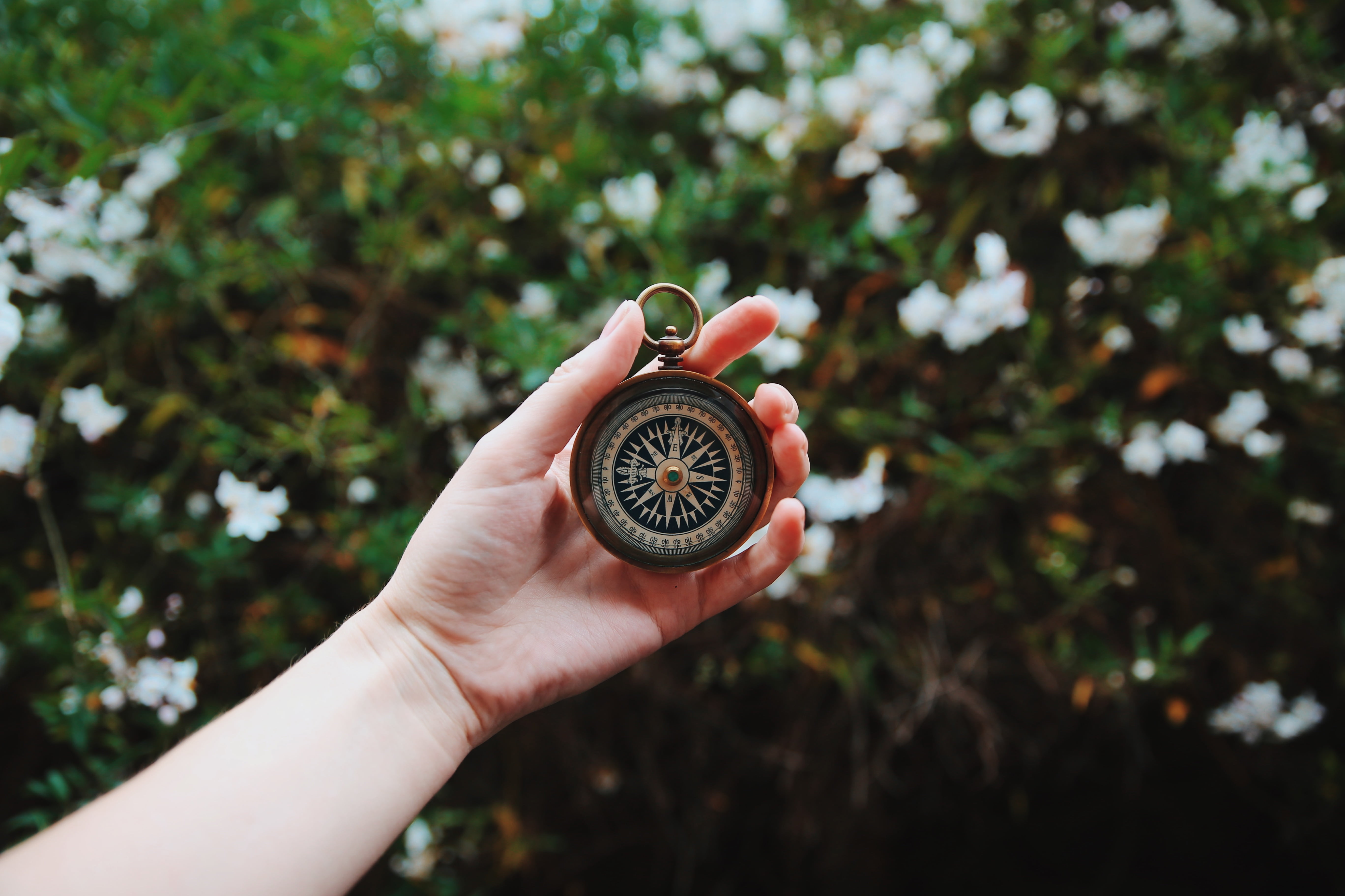 finger, blur, unrecognizable person, human body part, one person, plant, person, journey, body part, outdoors, nature, real people, close-up, day, holding, HD Wallpaper