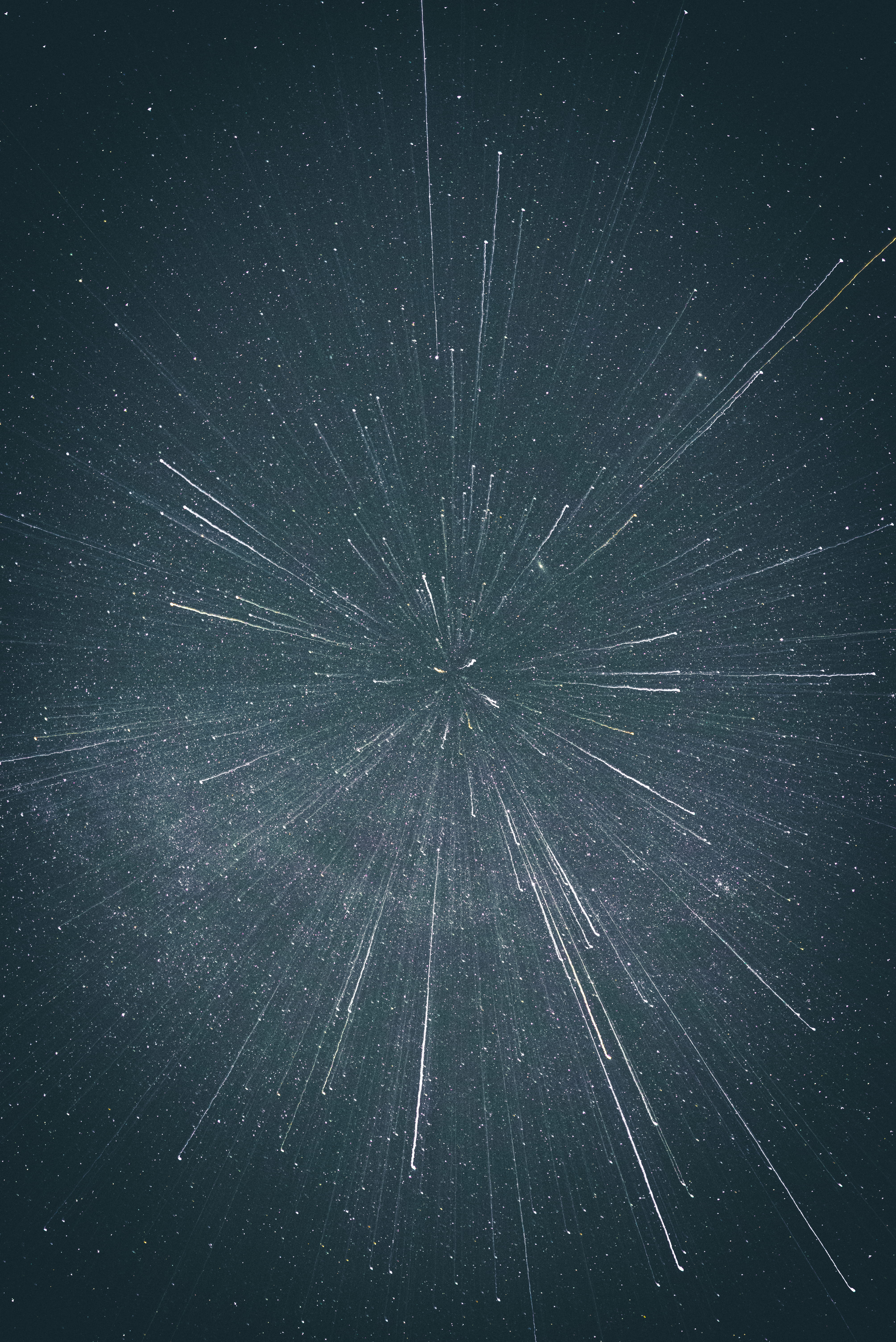 no people, warped, flora, fragility, close-up, photography, star, star field, fireworks, studio shot, exploding, lines, nature, urban, motion, lighting, Phone HD Wallpaper