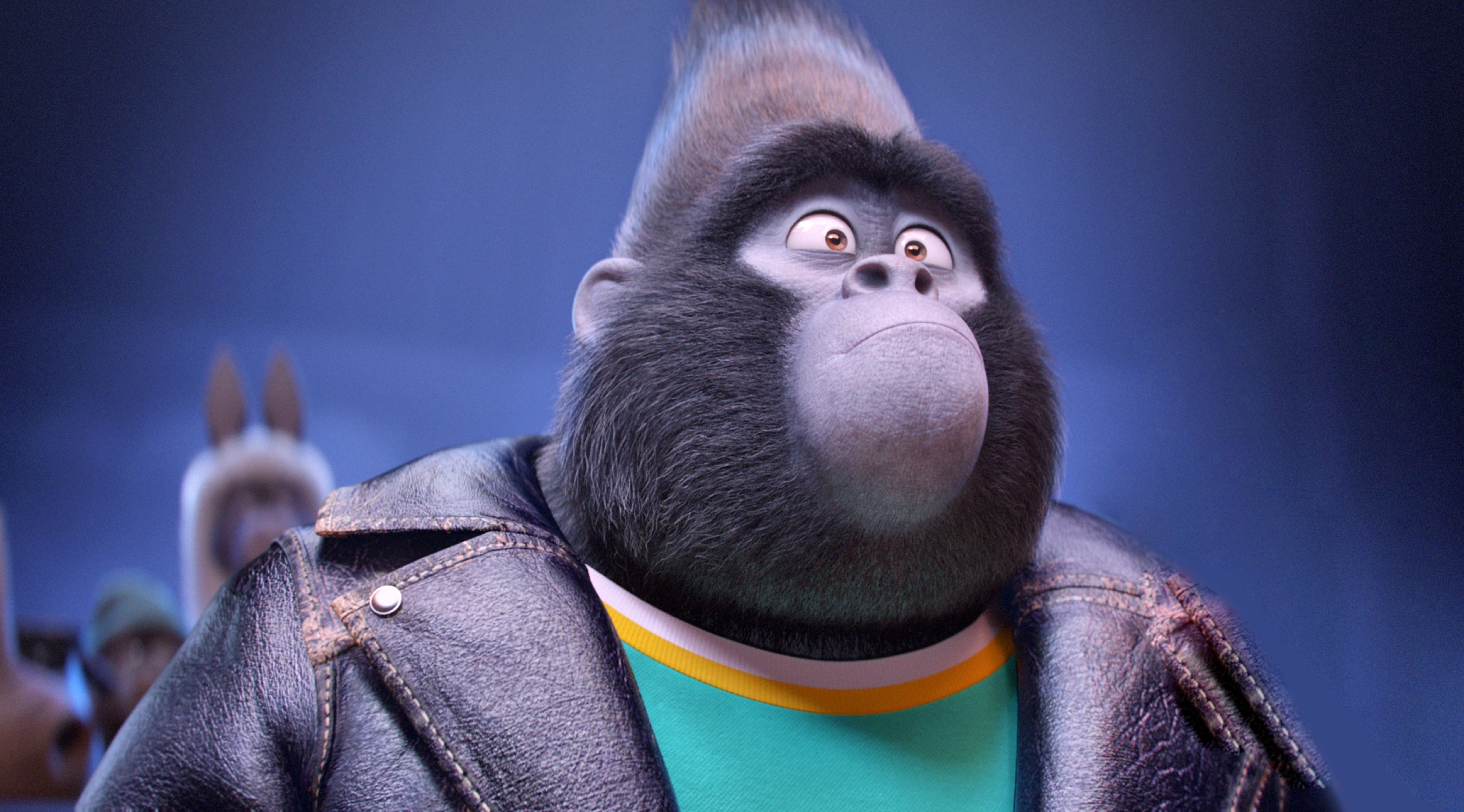 official, Universal Pictures, animated movie, animal, Illumination Entertainment, Taron Egerton, film, gorilla, Johnny, cinema, eyes, movie, Sing, HD Wallpaper