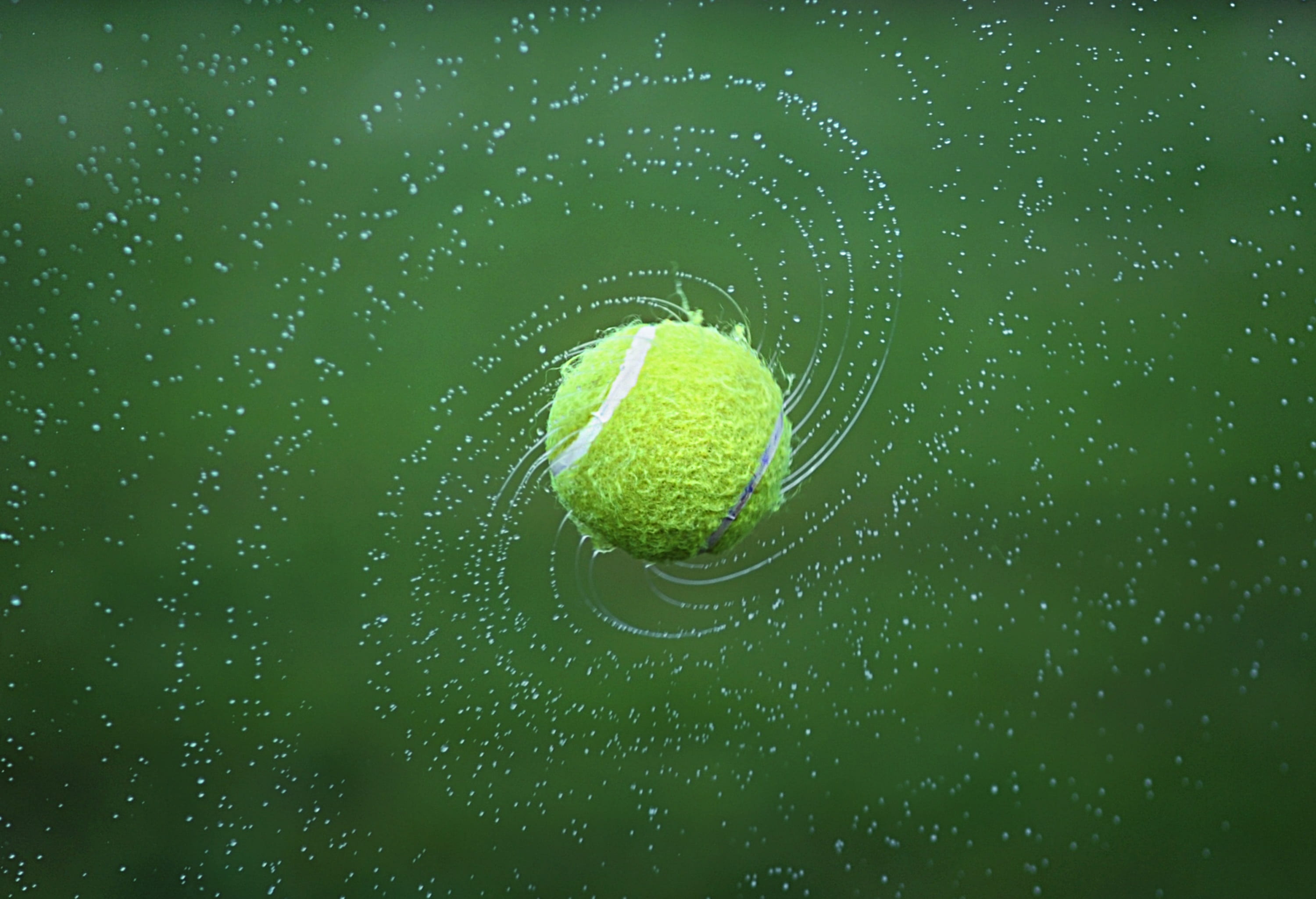nature, leaf, galactic, universe, ball, water, macro, no people, floats, animal themes, day, sport, globe, close-up, galaxy, outdoors, raindrop, spider web, HD Wallpaper