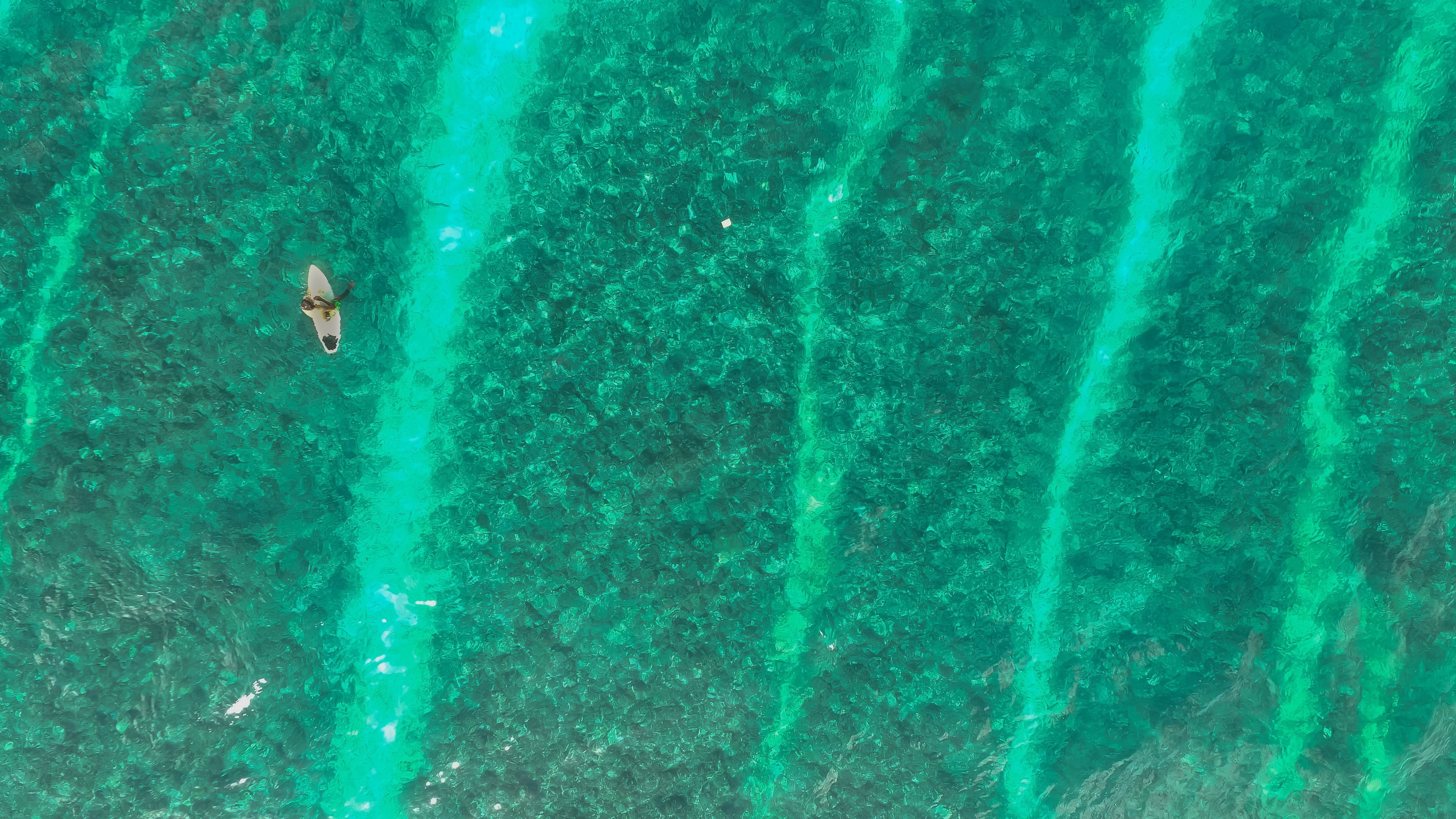 leisure activity, day, swimming, real people, water, sport, high angle view, turquoise colored, 4K, surfboards, outdoors, swimming pool, waterfront, unrecognizable person, HD Wallpaper