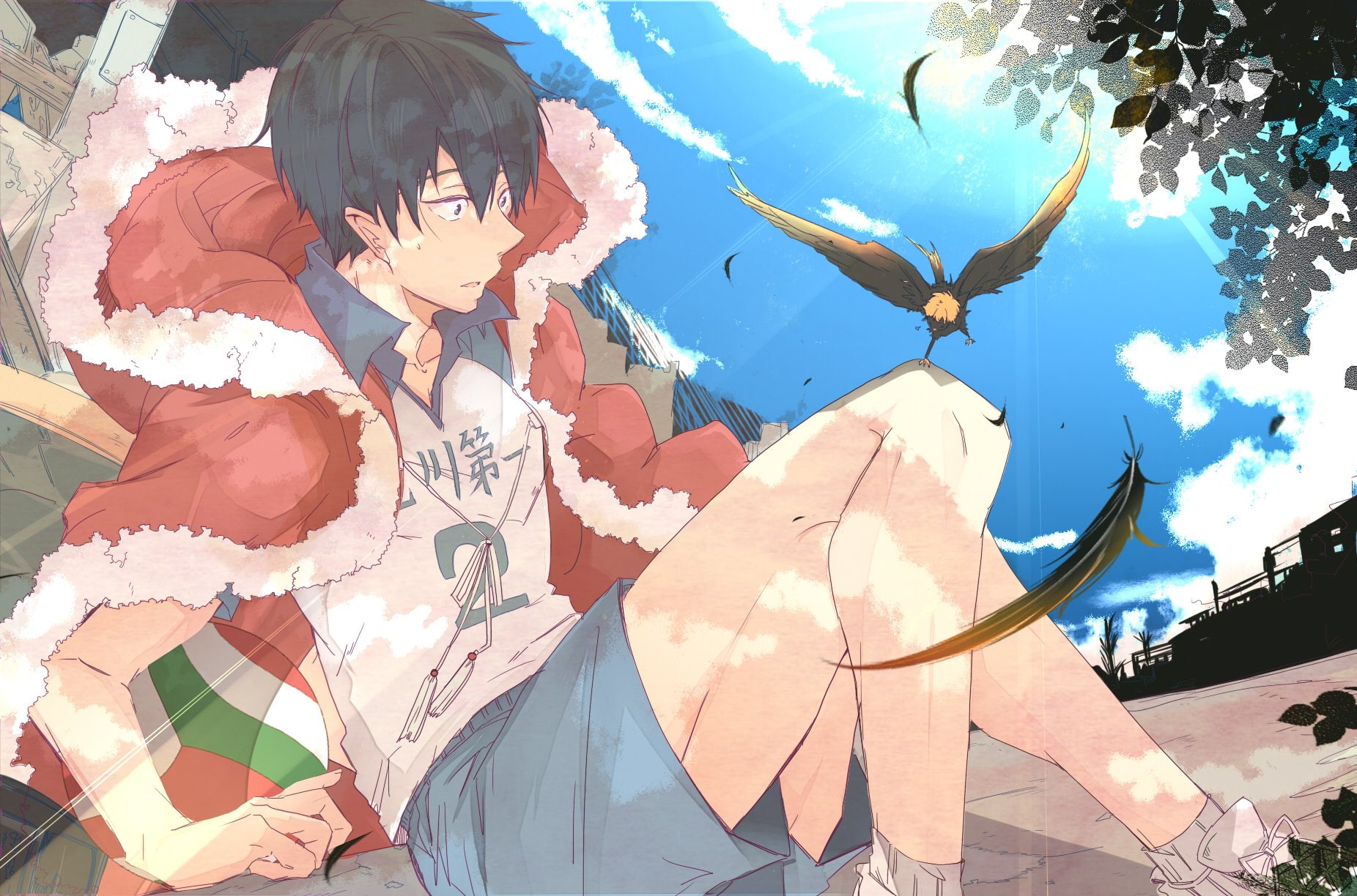 haikyuu, 720P, kageyama, tobio, HD Wallpaper