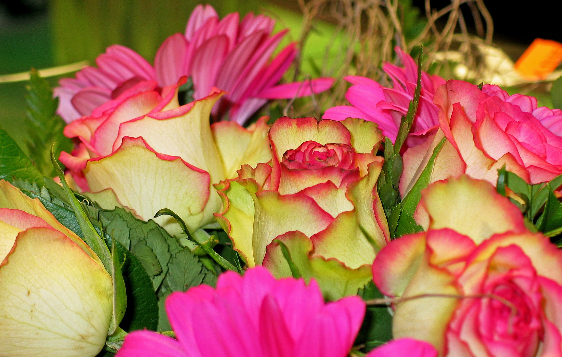 pink, 1080P, selective focus, flower, thank you, beauty in nature, romantic, welcome, birthday, gratitude, romance, give, growth, beautiful, yellow, background, HD Wallpaper