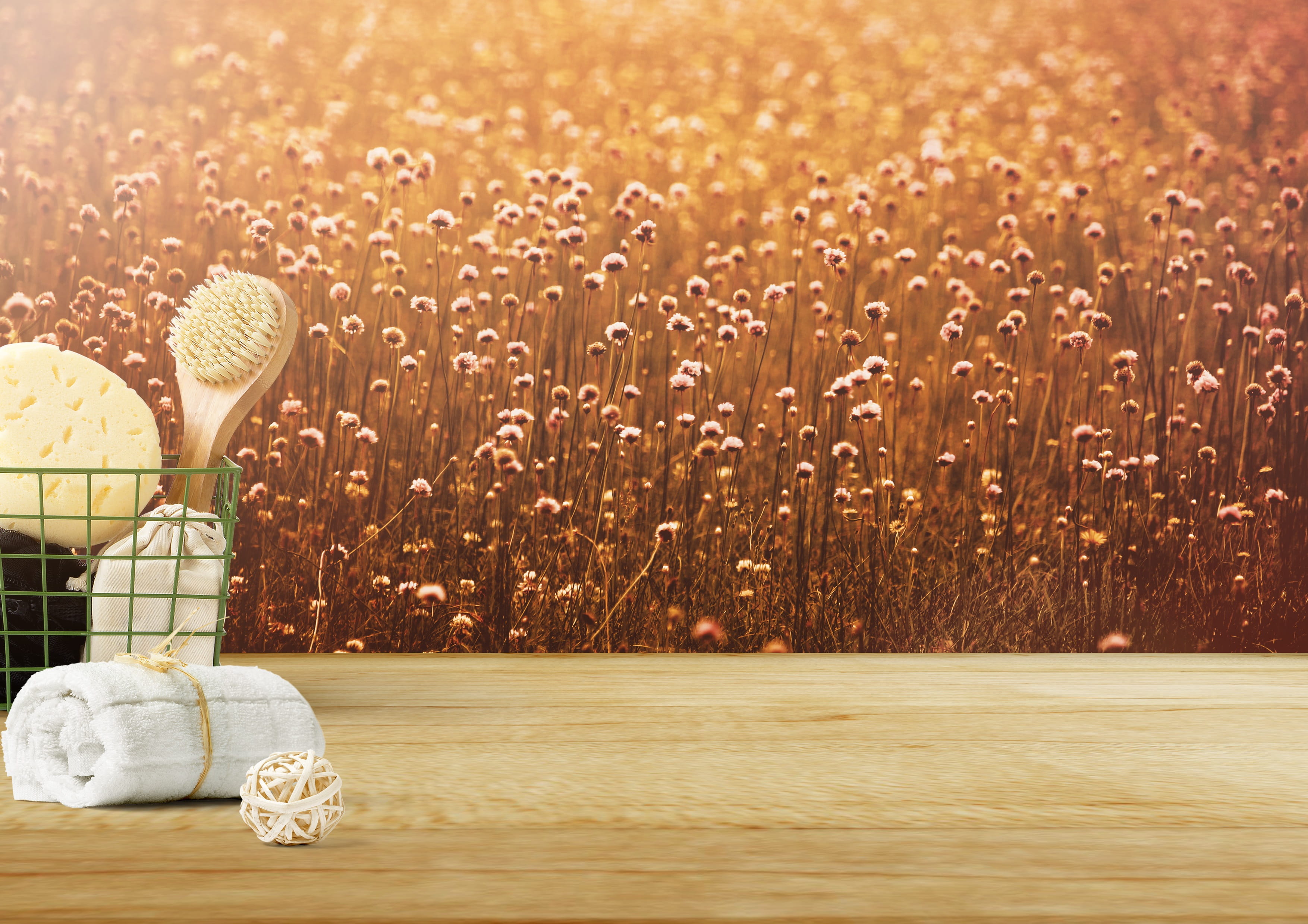 storage, note, water, brush, sunset, plant, template, sponge, feel good, field of flowers, relaxation, birthday card, softness, greeting card, ambience, HD Wallpaper