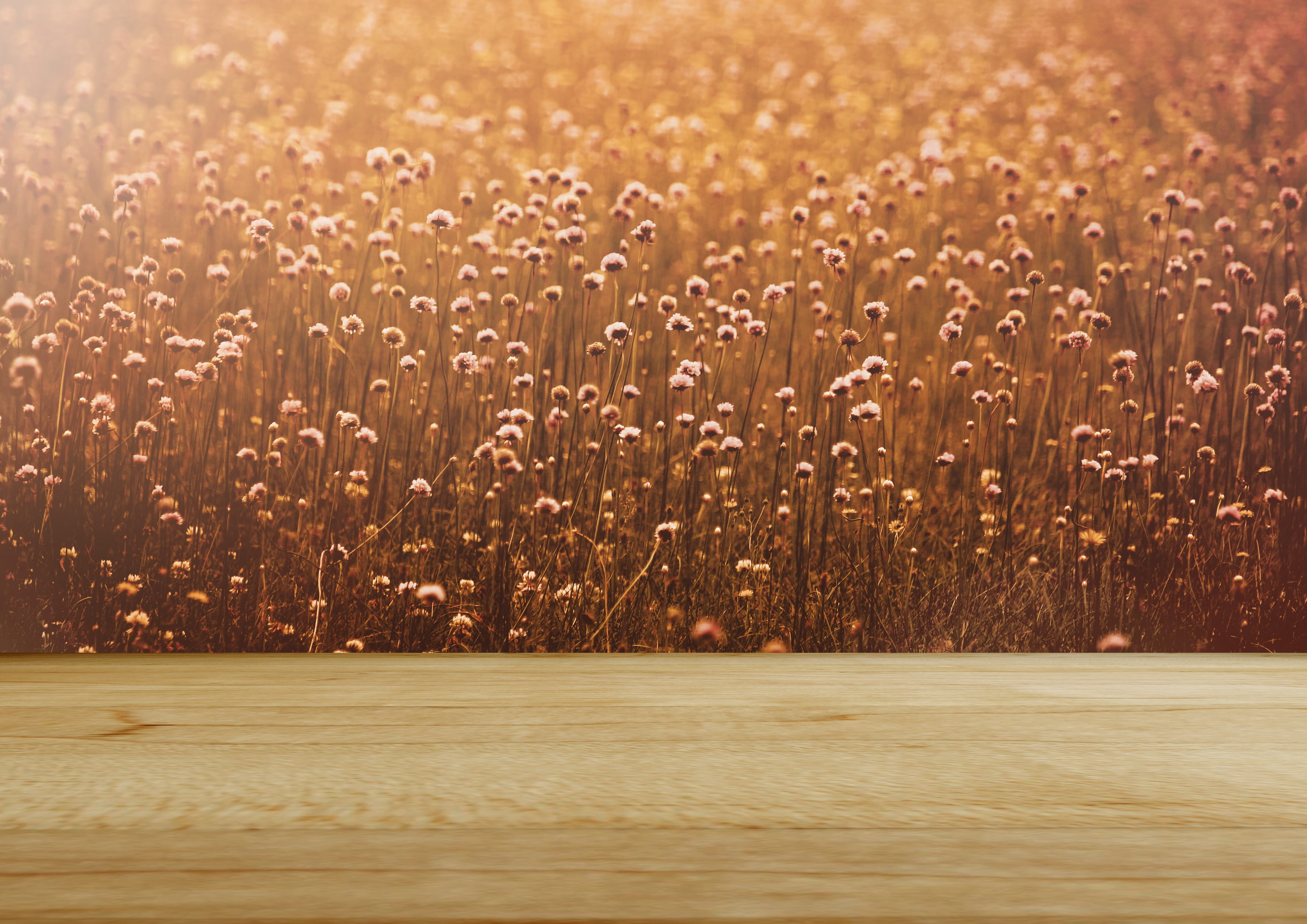 land, field, abstract, orange, wooden table, crop, light, pattern, day, picturesque, greeting card, romantic, tranquility, table, motion, birthday card, HD Wallpaper