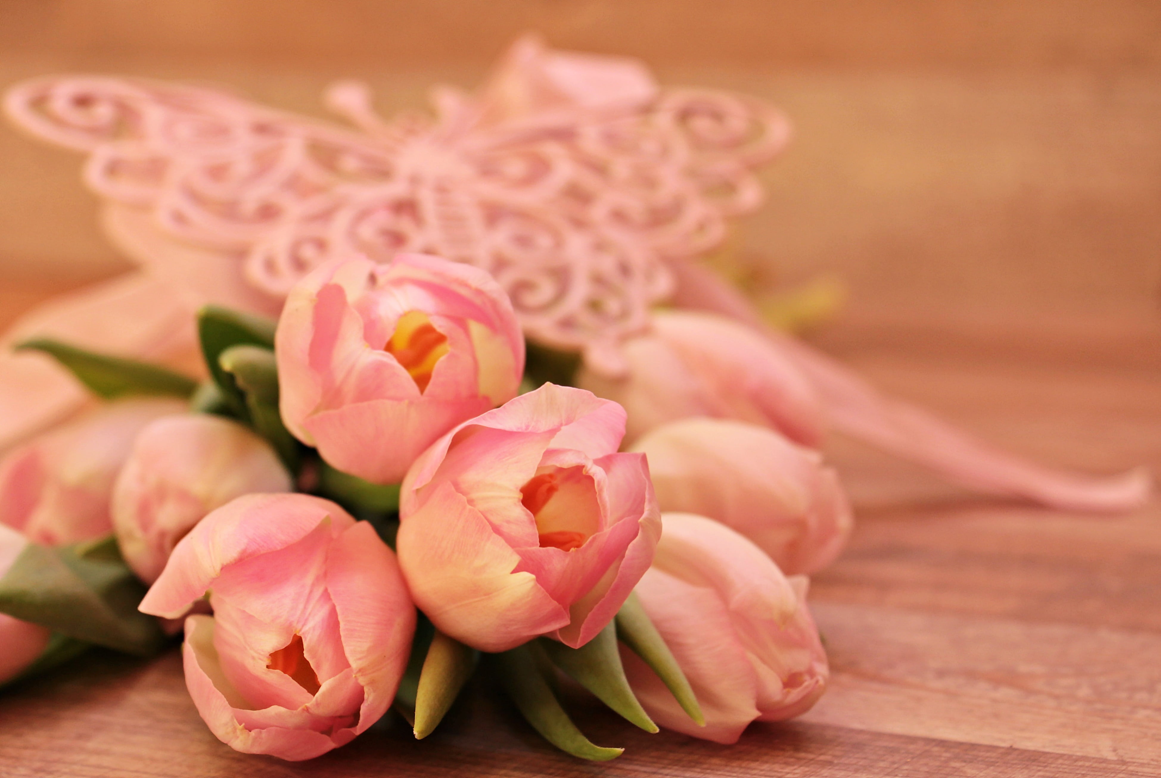 indoors, schnittblume, tender, greeting, early bloomer, beauty, rose - flower, cheerful, loop, breeding tulip, close, floral greeting, wooden, nostalgia, HD Wallpaper