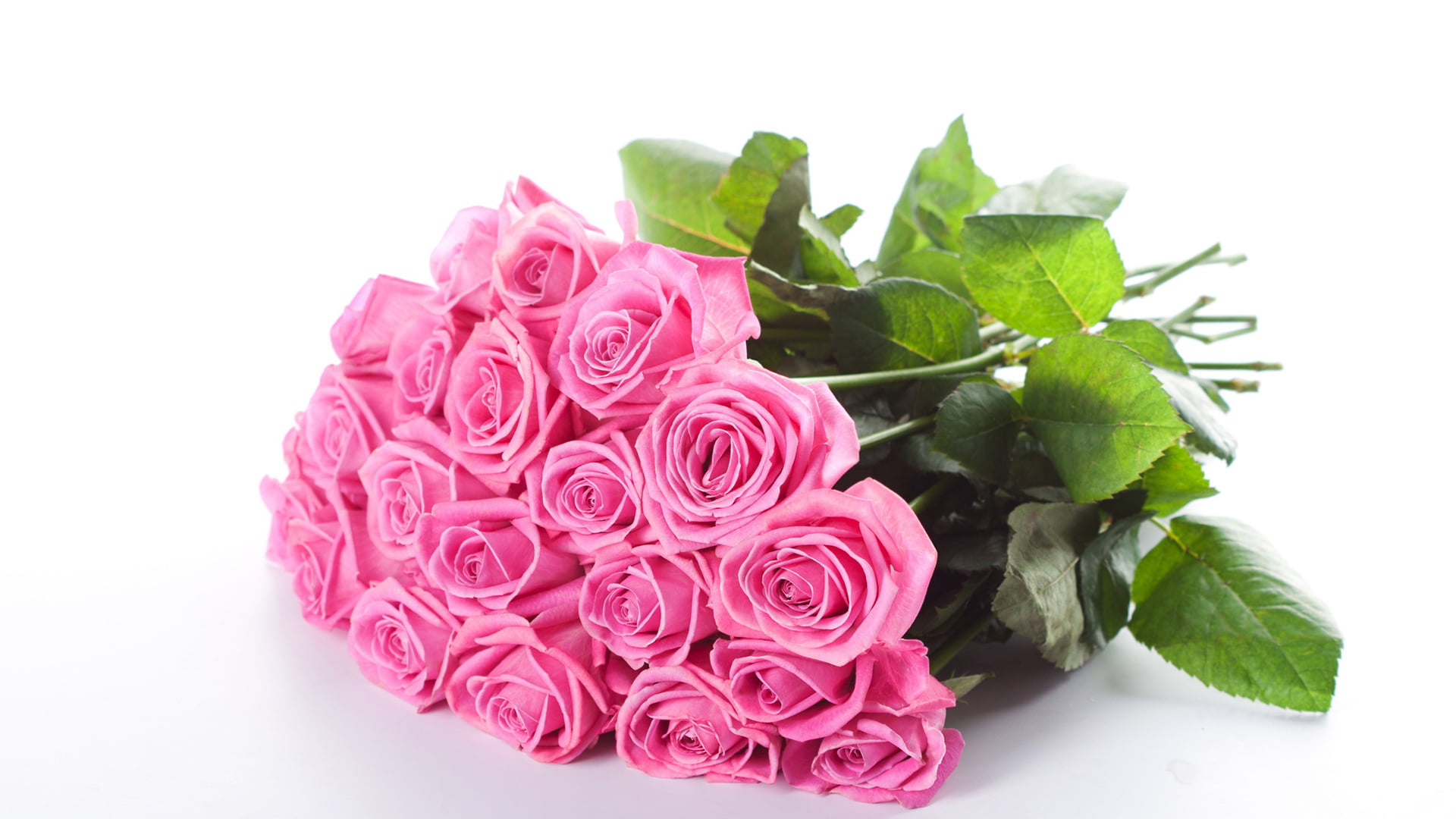 spring, bright, design, leaves, flower, petal, blooming, 1080P, flower arrangement, blossom, pink color, present, decoration, plant part, studio shot, HD Wallpaper