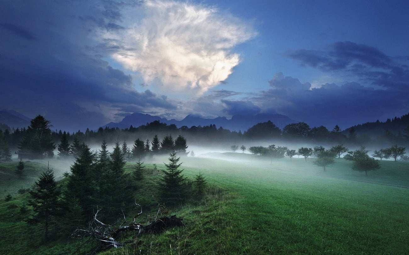 tranquil scene, beauty in nature, clouds, environment, spring, no people, tranquility, mountains, land, landscape, cloud - sky, nature, field, tree, pine tree, HD Wallpaper