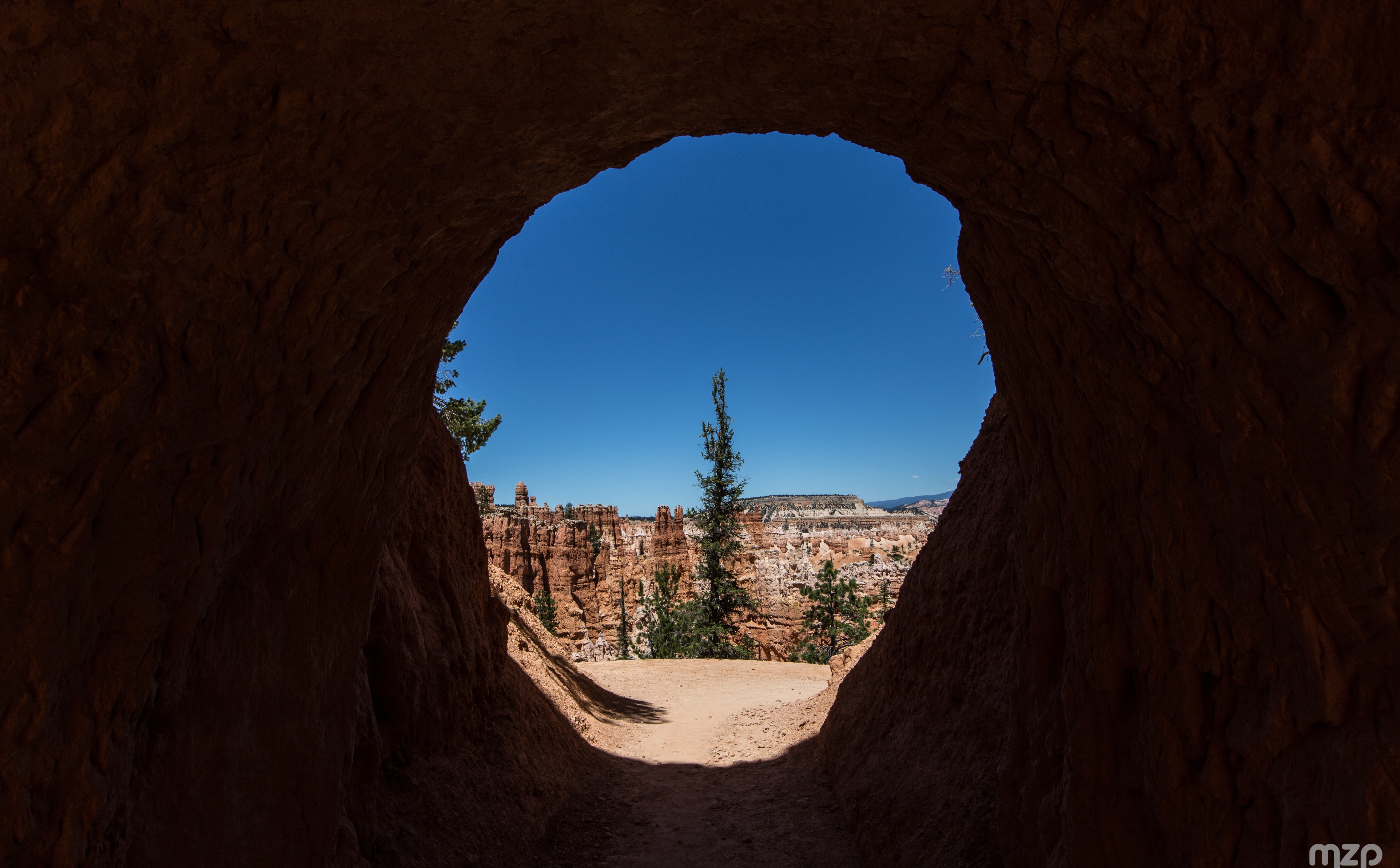 hoodoos, Yosemite, tree, Utah, clear sky, the past, nationalmonument, West, tourism, rockformations, IUCN, outdoors, national, solid, built structure, day, HD Wallpaper