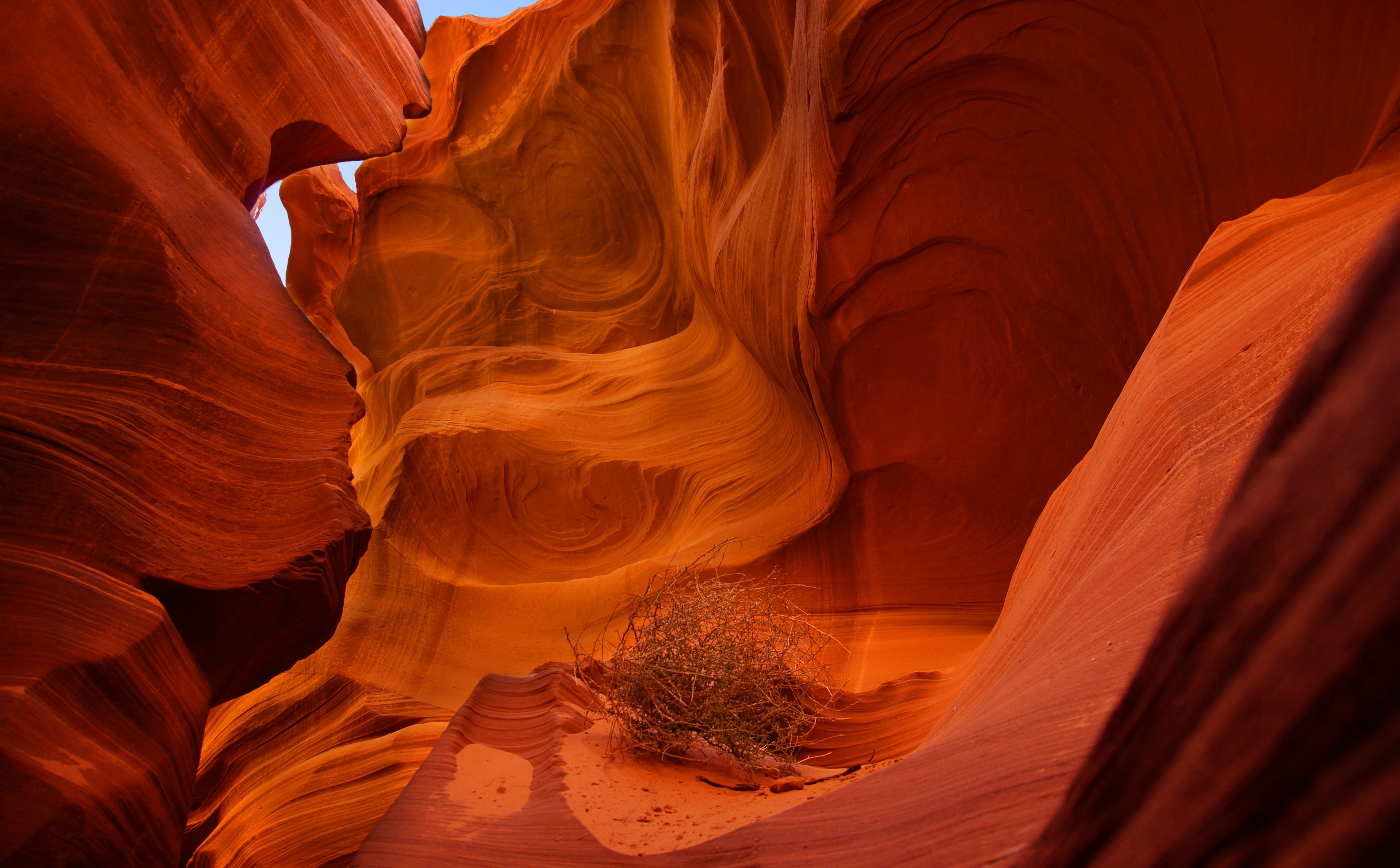 erosion, Travel, unitedstates, geology, United States, no people, physical geography, climate, Destination, Canyon, fantastic, rock formation, solid, antelope, HD Wallpaper