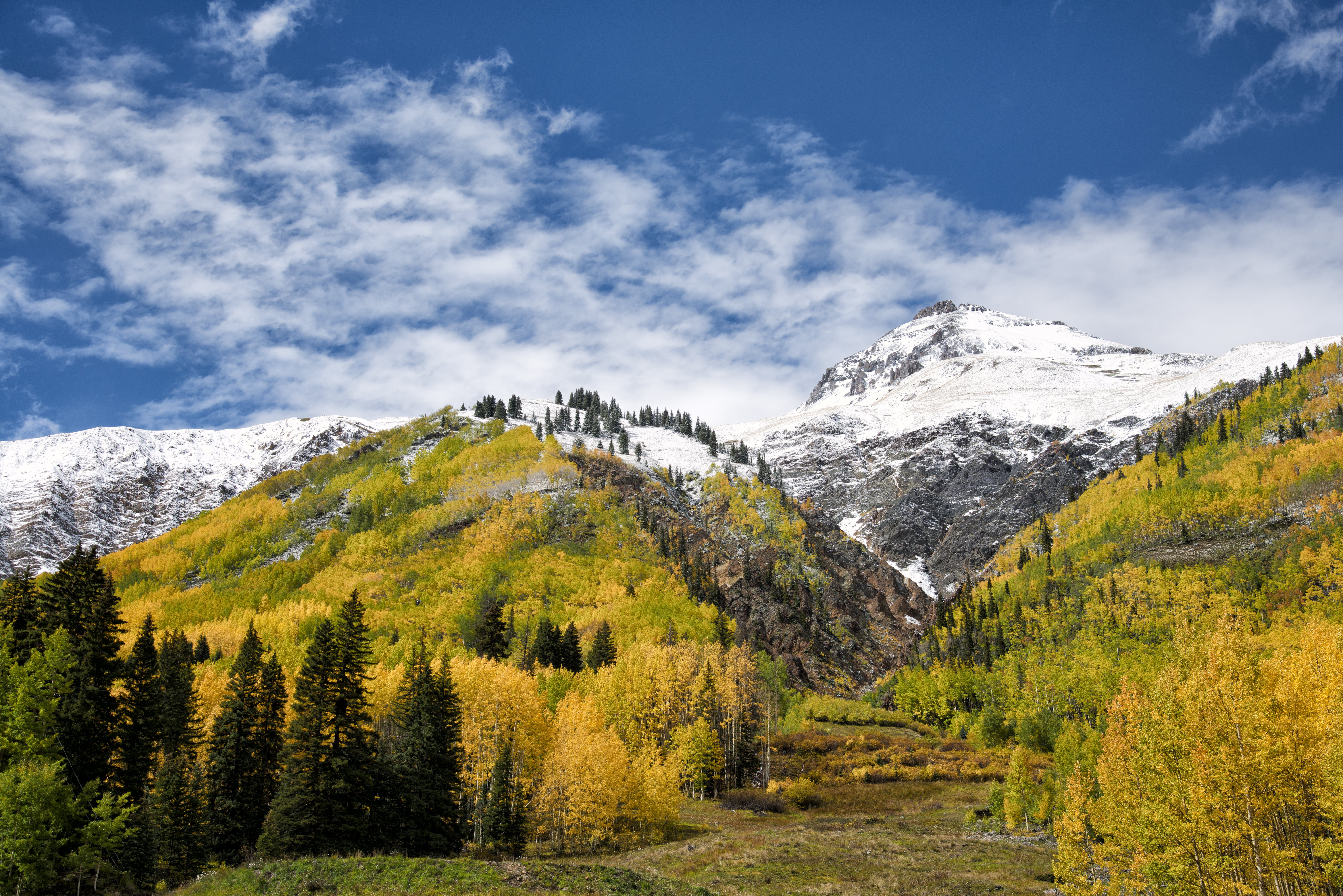 tree, white, sky, scenics, Leaves, snow mountain, blue sky, landscape, forest, fall foliage, snow, near, Colorado, US550, blue, autumn, mountain, Aspen, HD Wallpaper