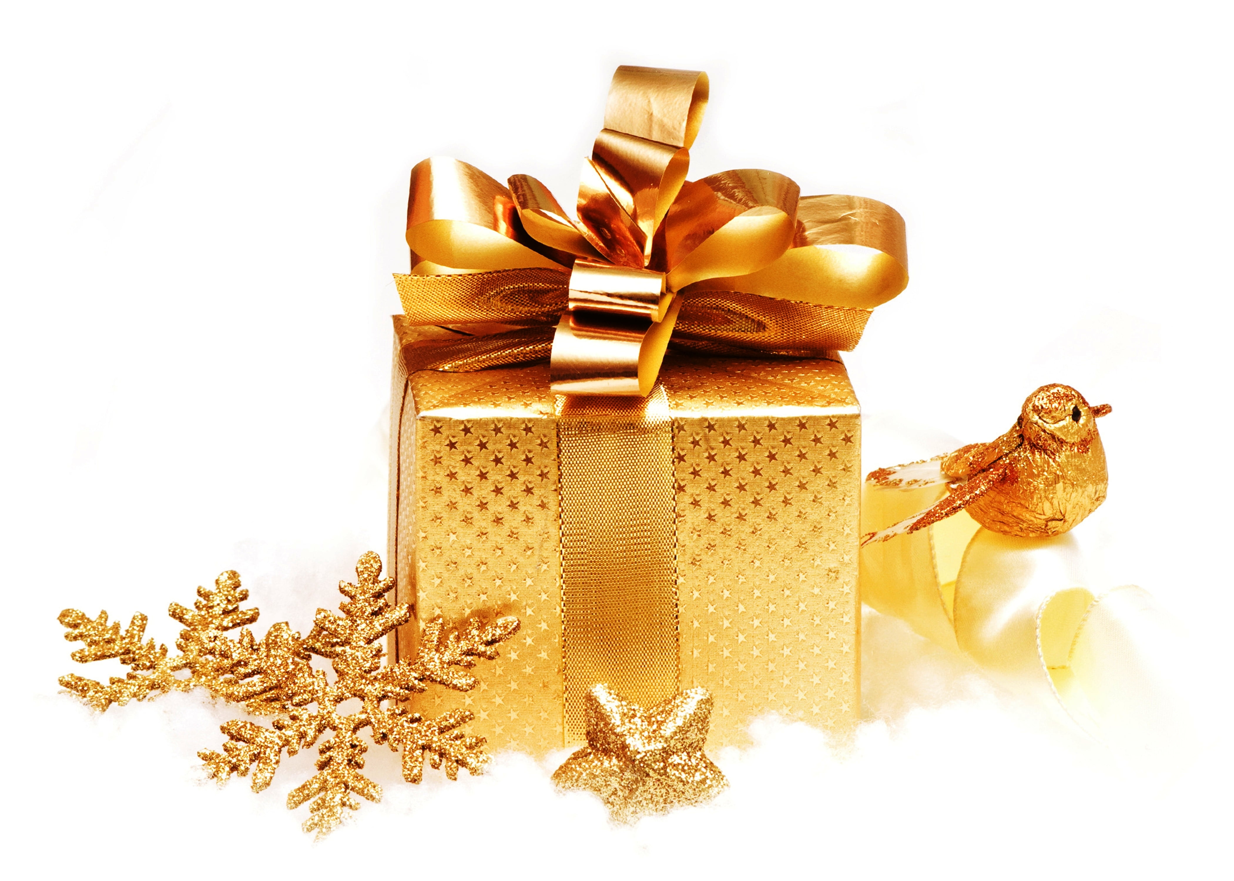 animal wildlife, 4K, surprise, christmas present, animal themes, gold, cut out, white background, New year, bow, golden, xmas, container, ribbon - sewing item, HD Wallpaper