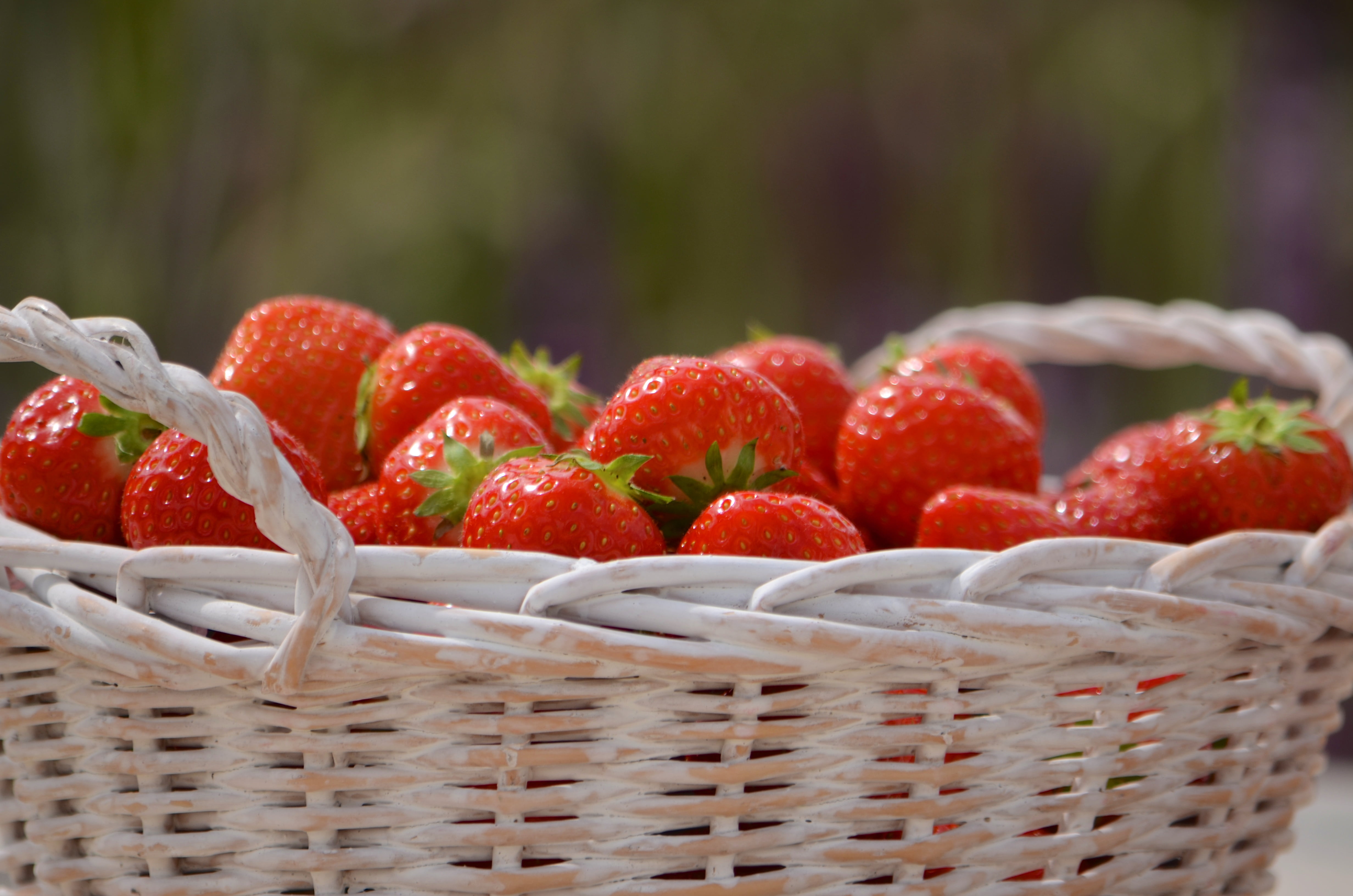 healthy Eating, daytime, shift, freshness, red, photography, wicker basket, lens, wicker, shift lens, berry Fruit, fruit, 4K, summer, Bloom, ripe, close-up, HD Wallpaper