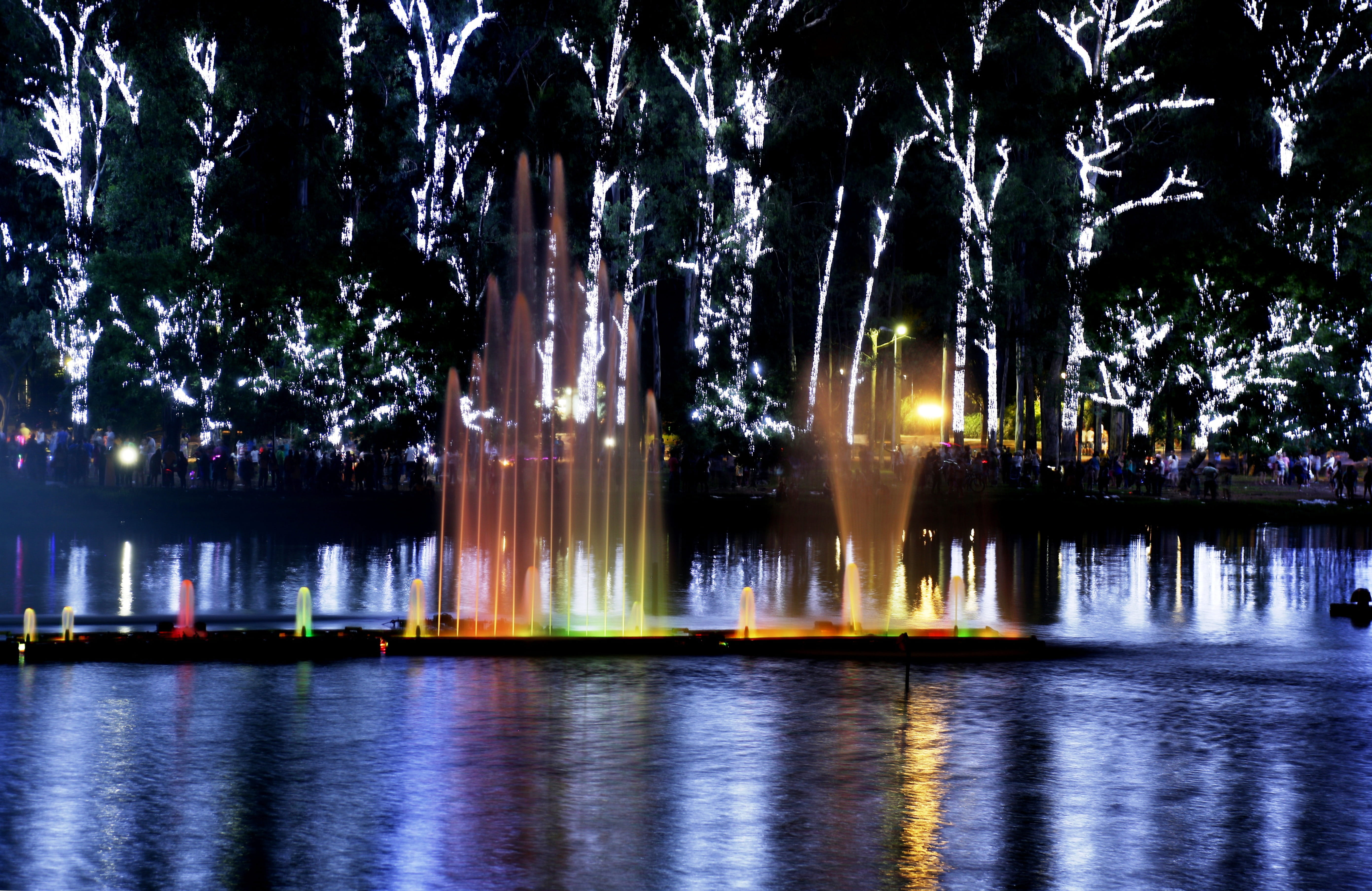 dancing waters, tree, city at night, lights, city, spectacle, water show, ibirapuera park, outdoors, christmas show, long exposure, lake, sky, colorful, HD Wallpaper